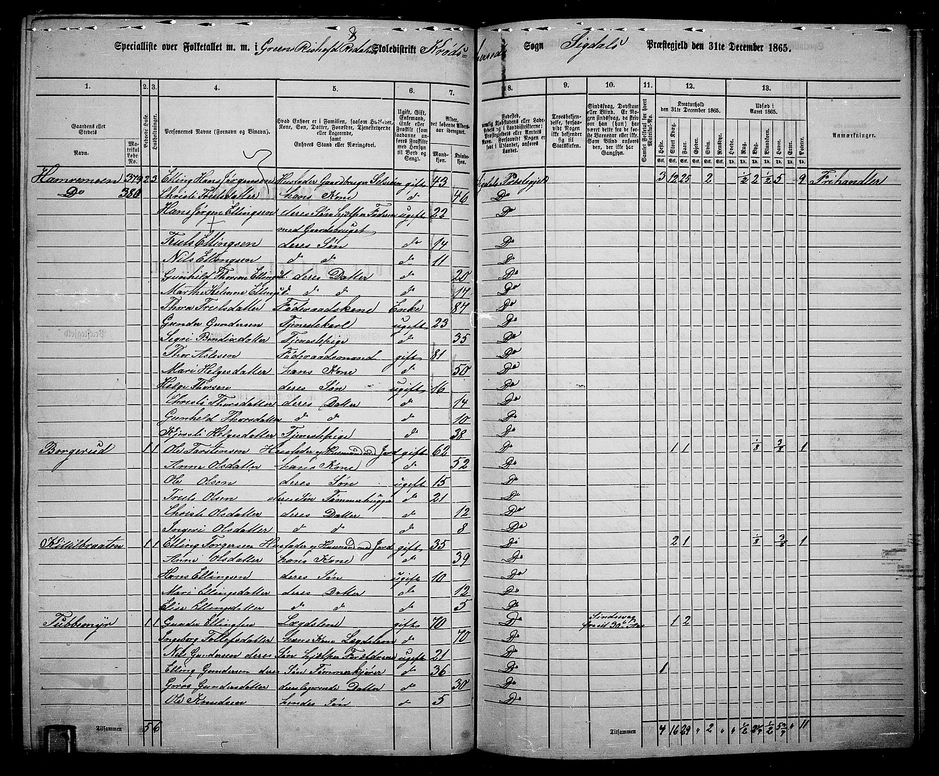 RA, 1865 census for Sigdal, 1865, p. 216