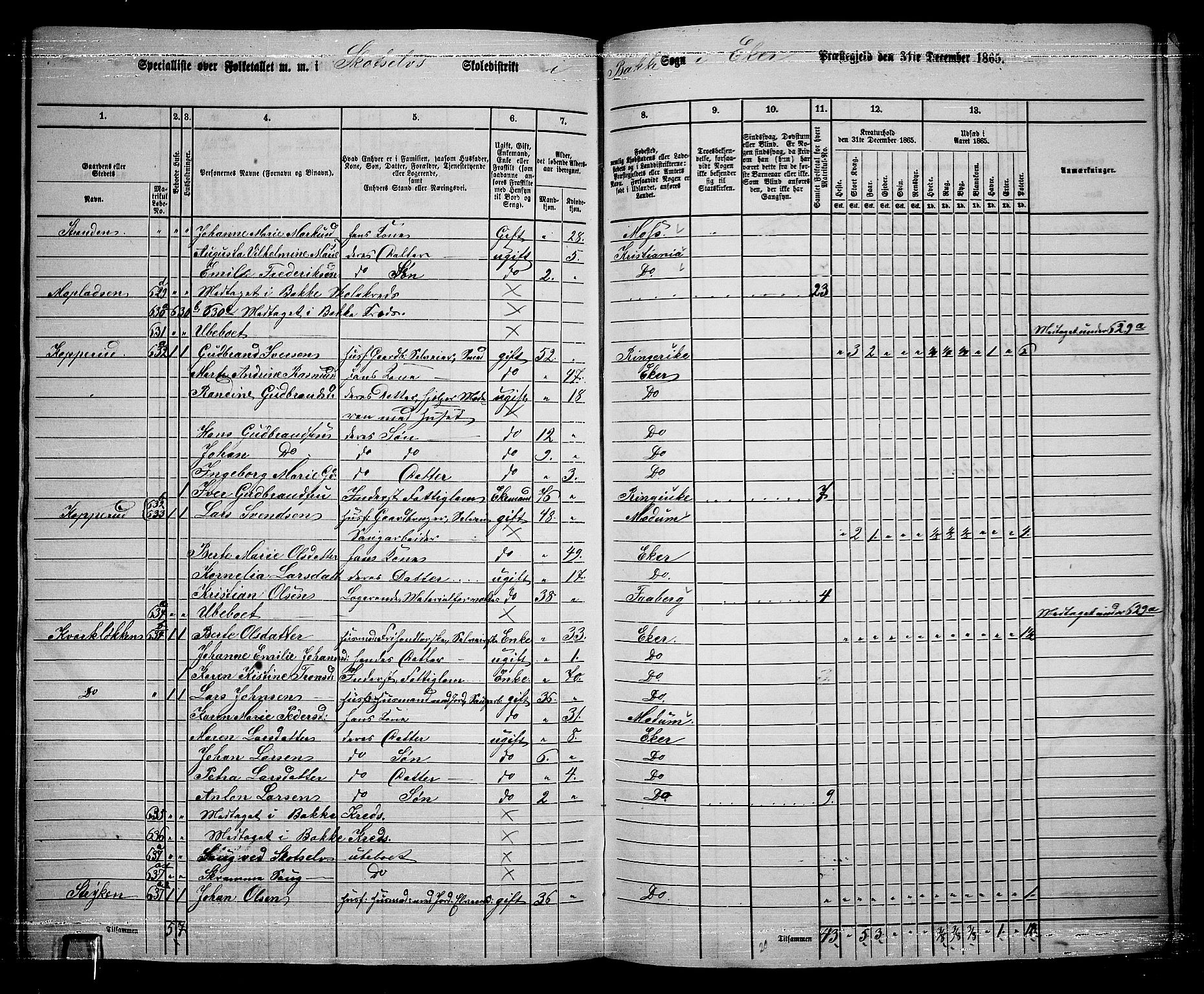 RA, 1865 census for Eiker, 1865, p. 482