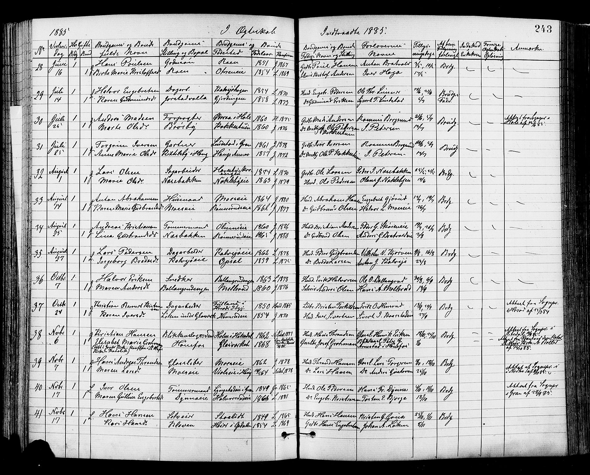 Jevnaker prestekontor, AV/SAH-PREST-116/H/Ha/Haa/L0008: Parish register (official) no. 8, 1877-1890, p. 243