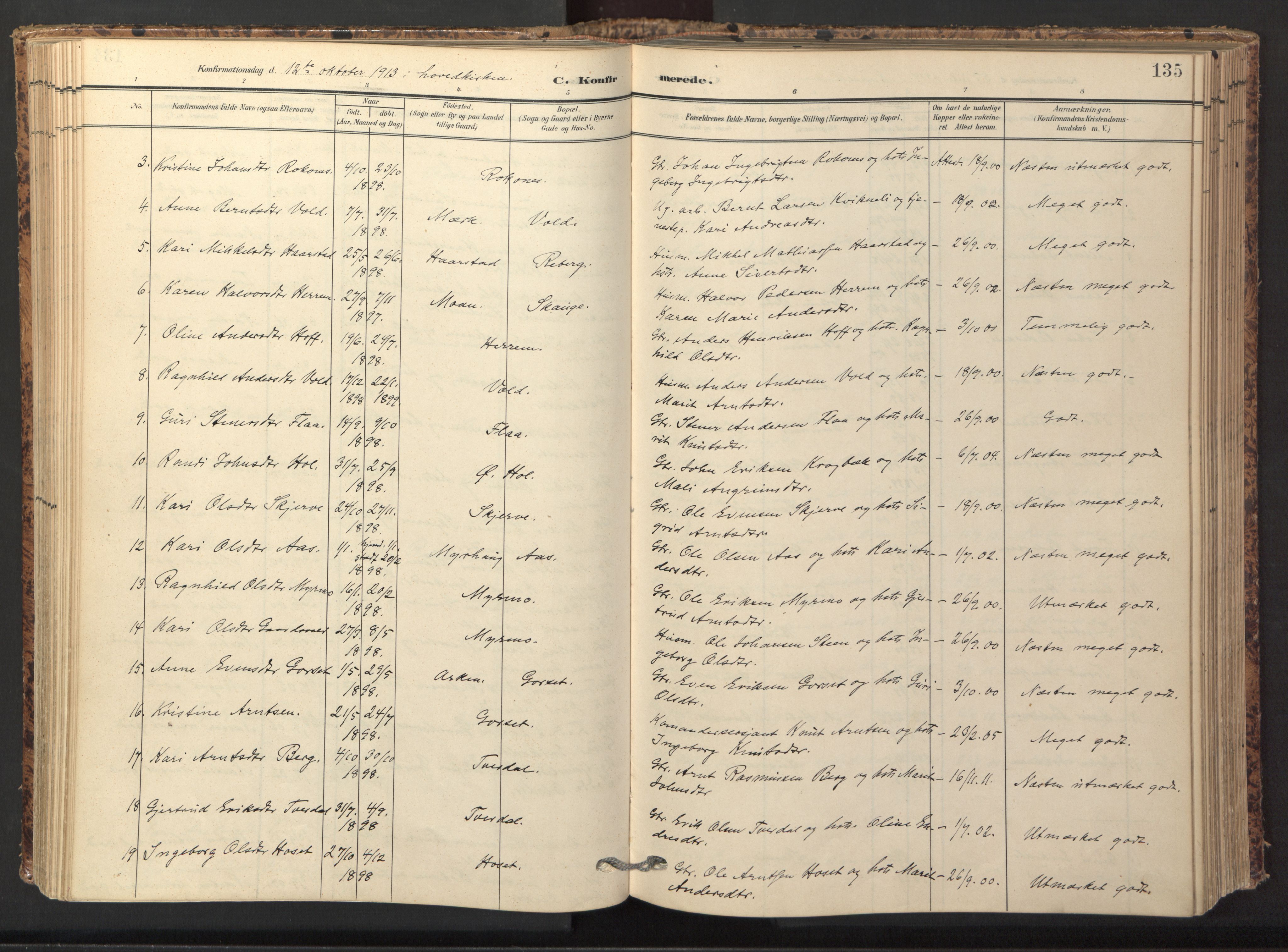 Ministerialprotokoller, klokkerbøker og fødselsregistre - Sør-Trøndelag, SAT/A-1456/674/L0873: Parish register (official) no. 674A05, 1908-1923, p. 135