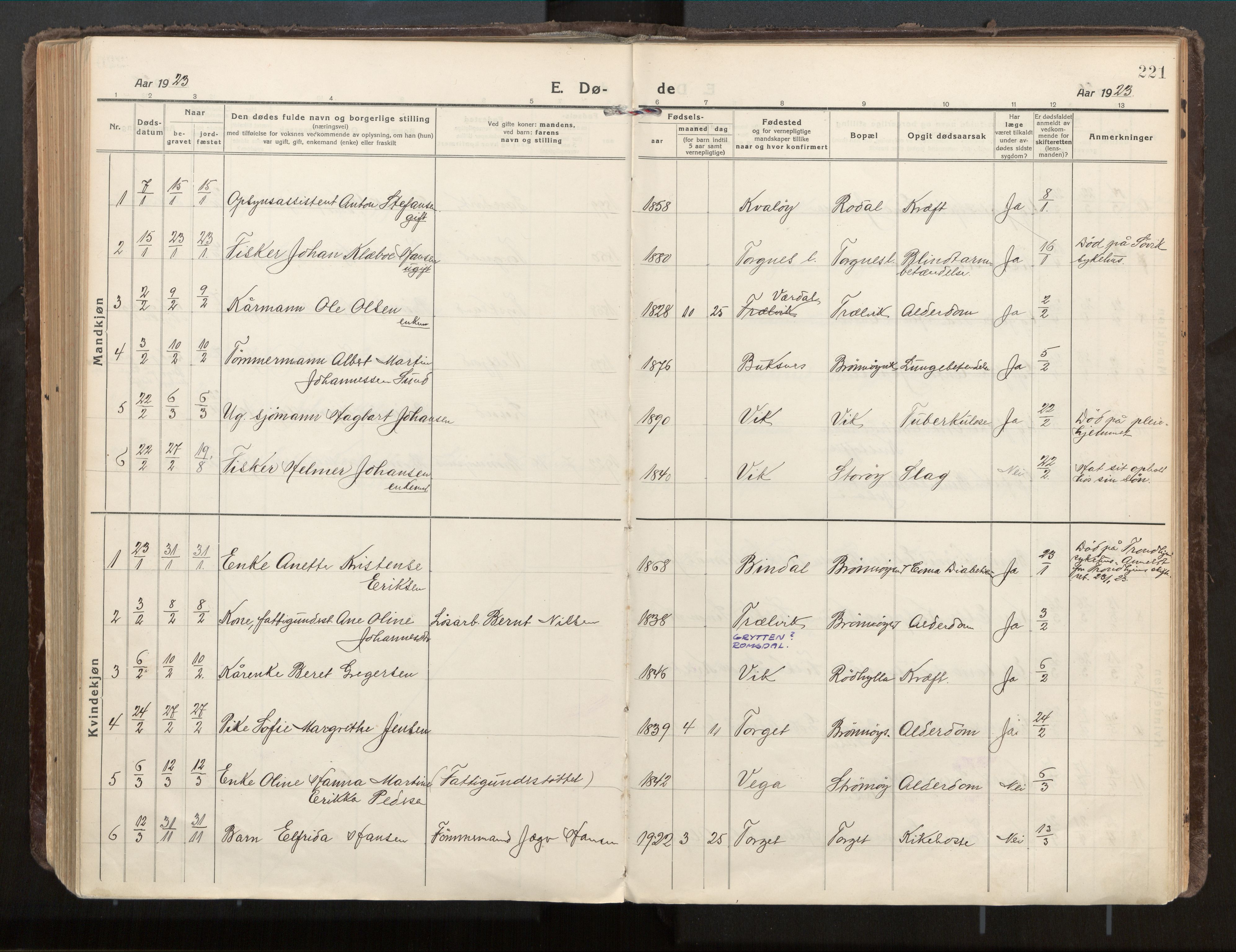 Ministerialprotokoller, klokkerbøker og fødselsregistre - Nordland, SAT/A-1459/813/L0207a: Parish register (official) no. 813A18, 1919-1927, p. 221