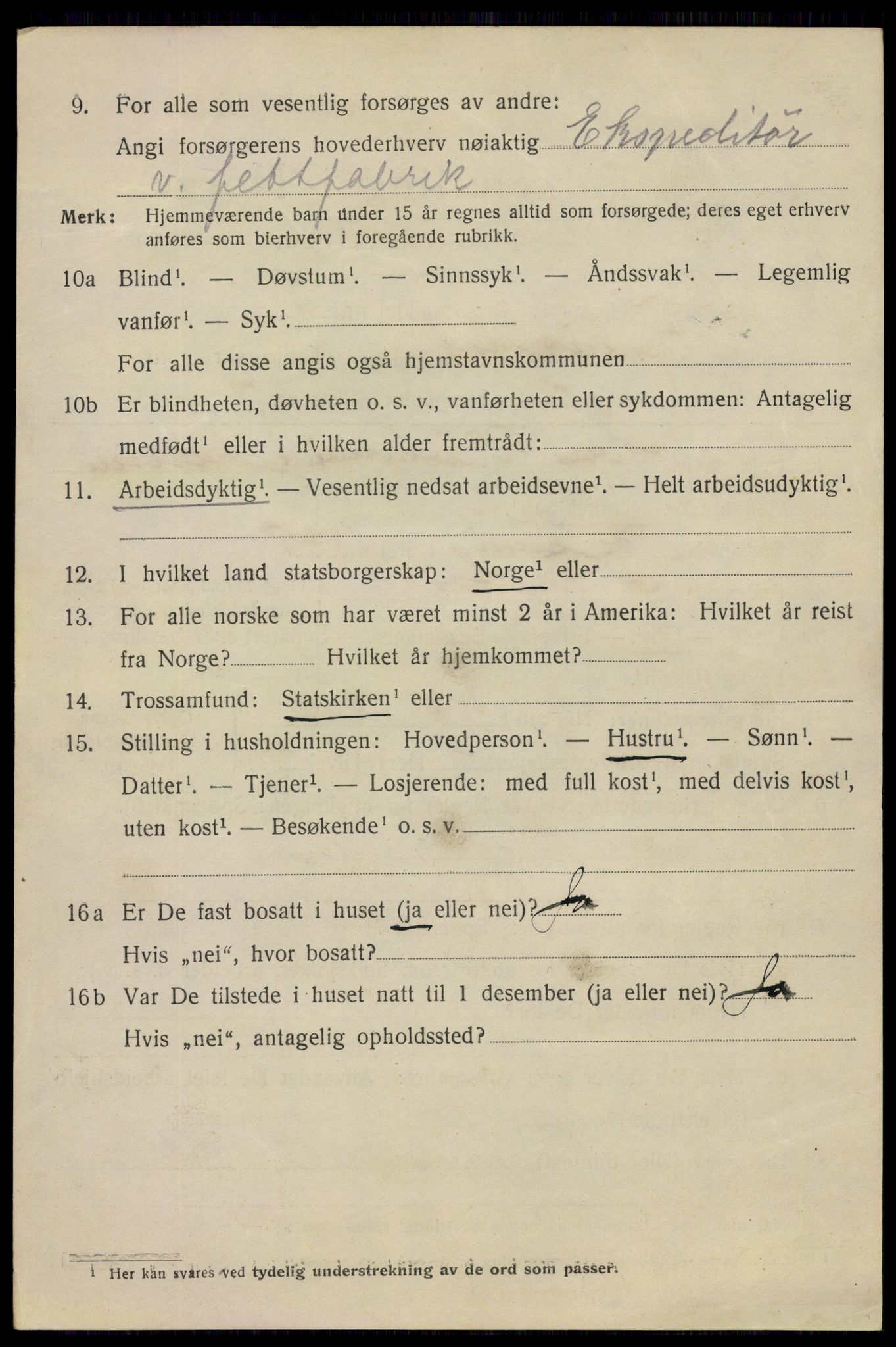 SAO, 1920 census for Fredrikstad, 1920, p. 11454