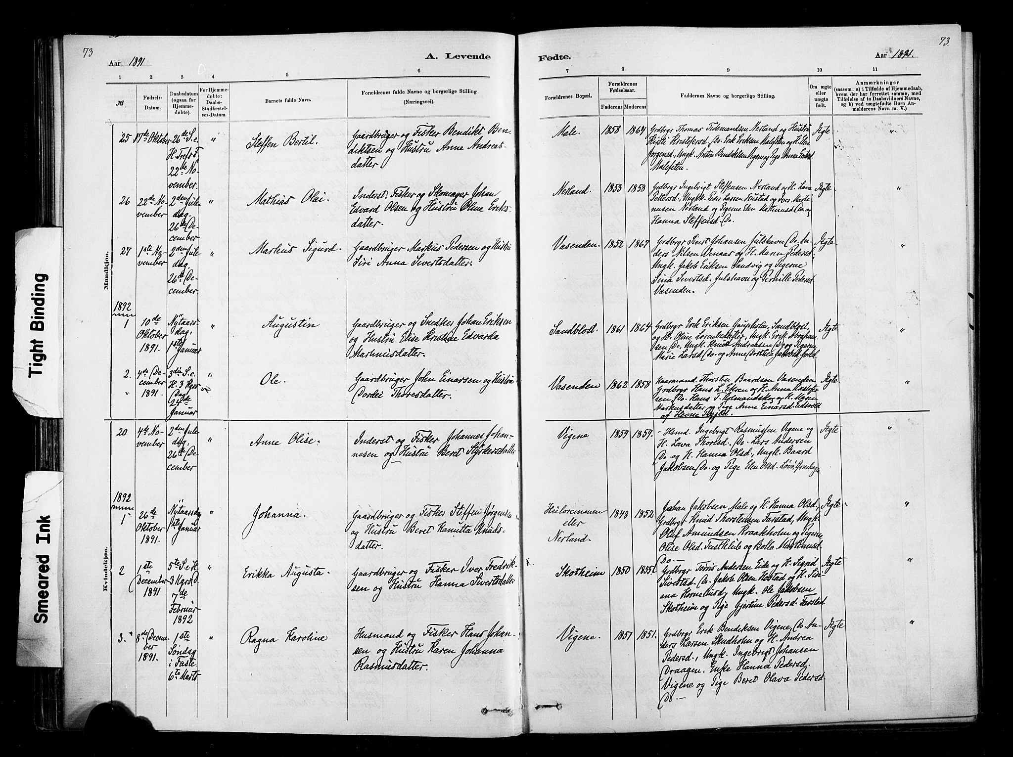 Ministerialprotokoller, klokkerbøker og fødselsregistre - Møre og Romsdal, AV/SAT-A-1454/567/L0778: Parish register (official) no. 567A01, 1881-1903, p. 73