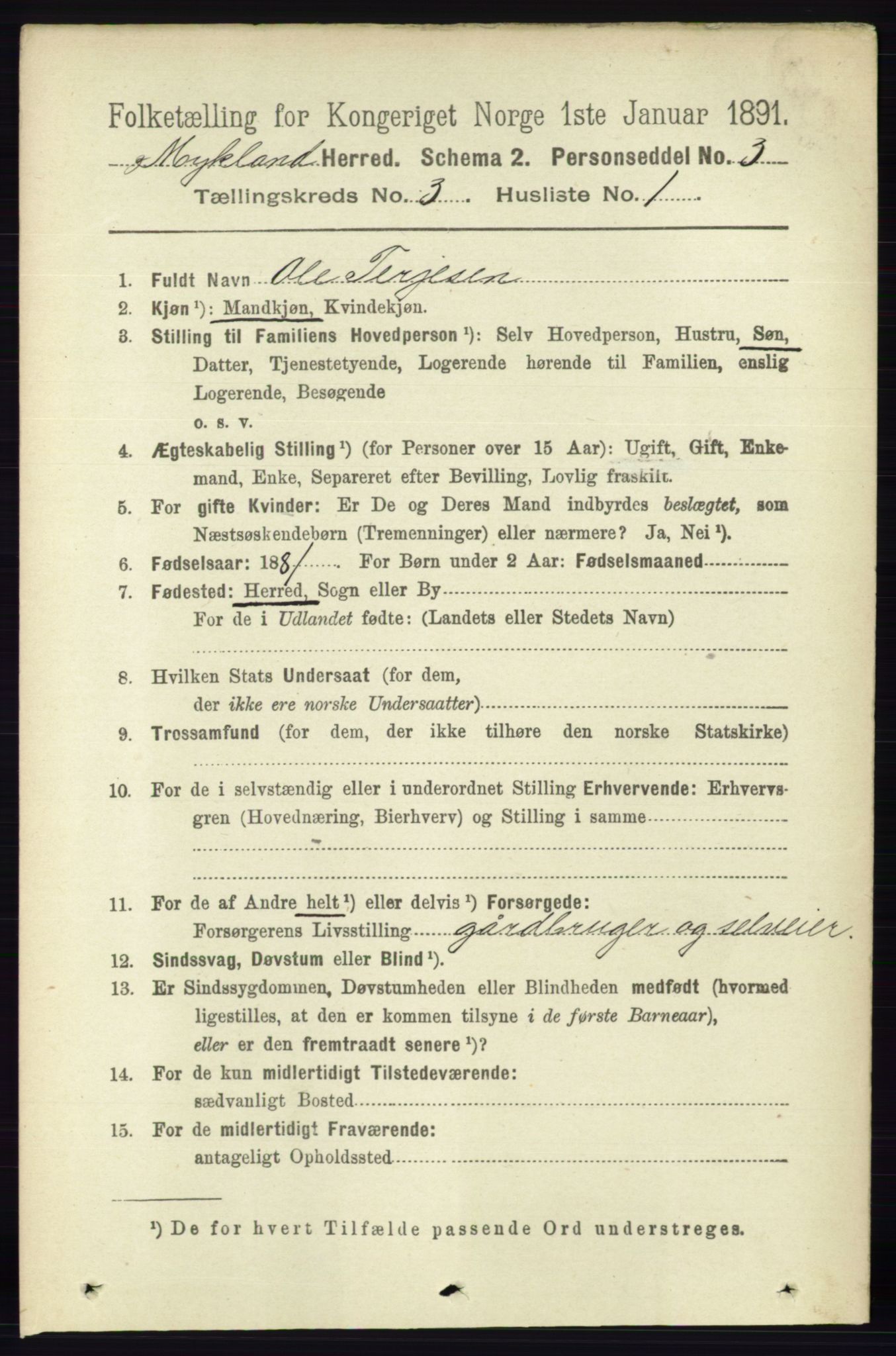 RA, 1891 census for 0932 Mykland, 1891, p. 568