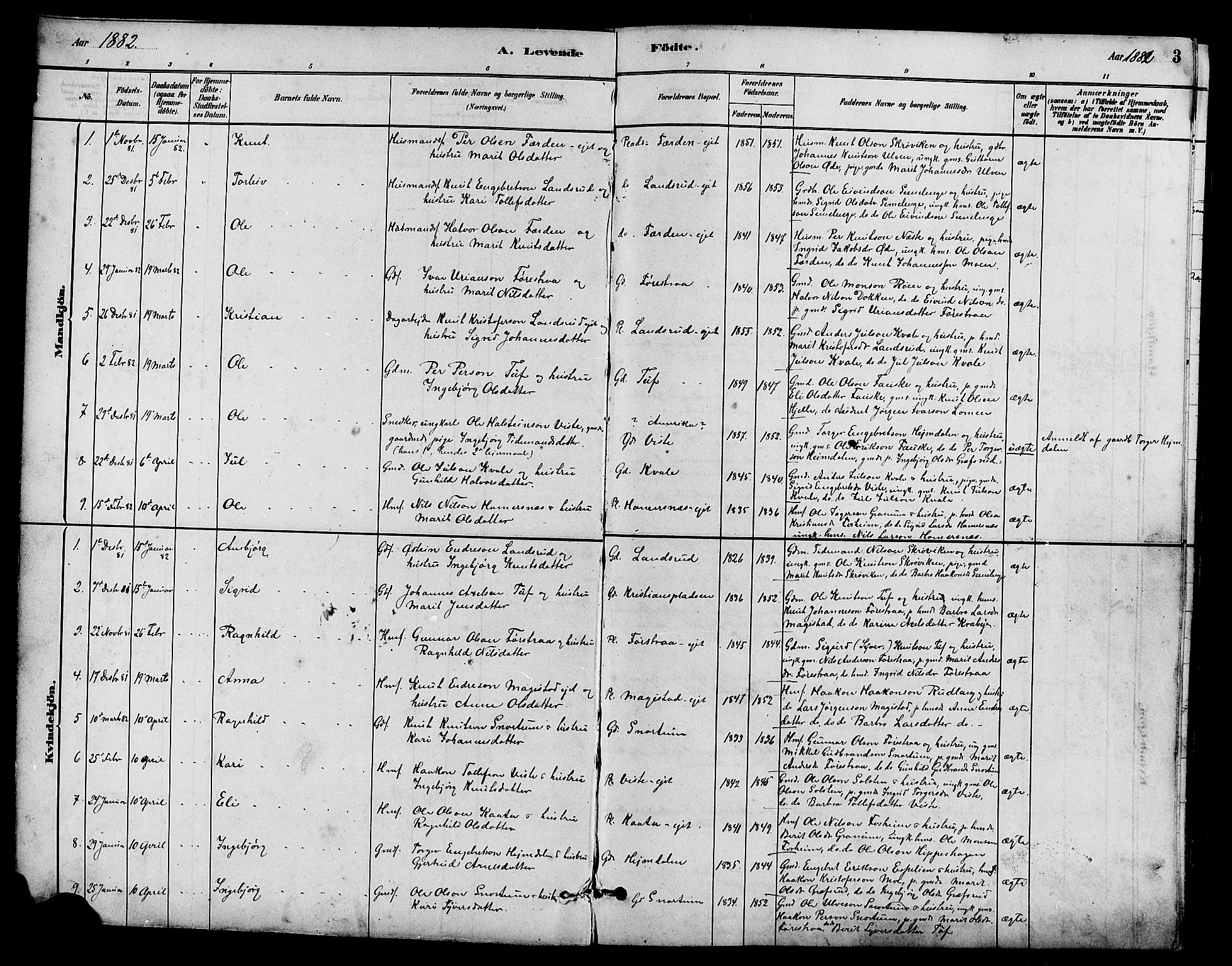 Vestre Slidre prestekontor, SAH/PREST-136/H/Ha/Hab/L0005: Parish register (copy) no. 5, 1881-1913, p. 3