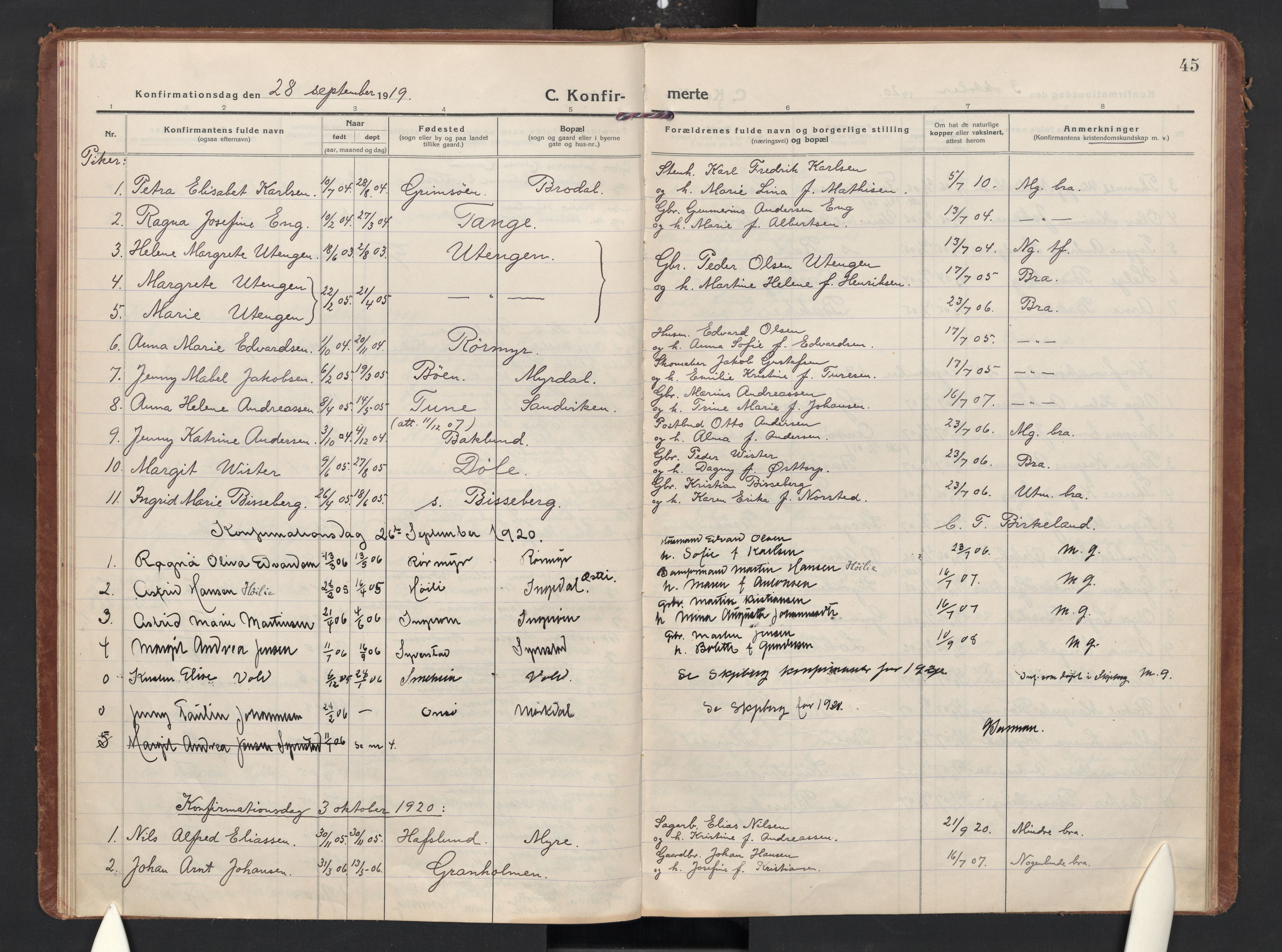 Skjeberg prestekontor Kirkebøker, SAO/A-10923/F/Fc/L0003: Parish register (official) no. III 3, 1915-1926, p. 45