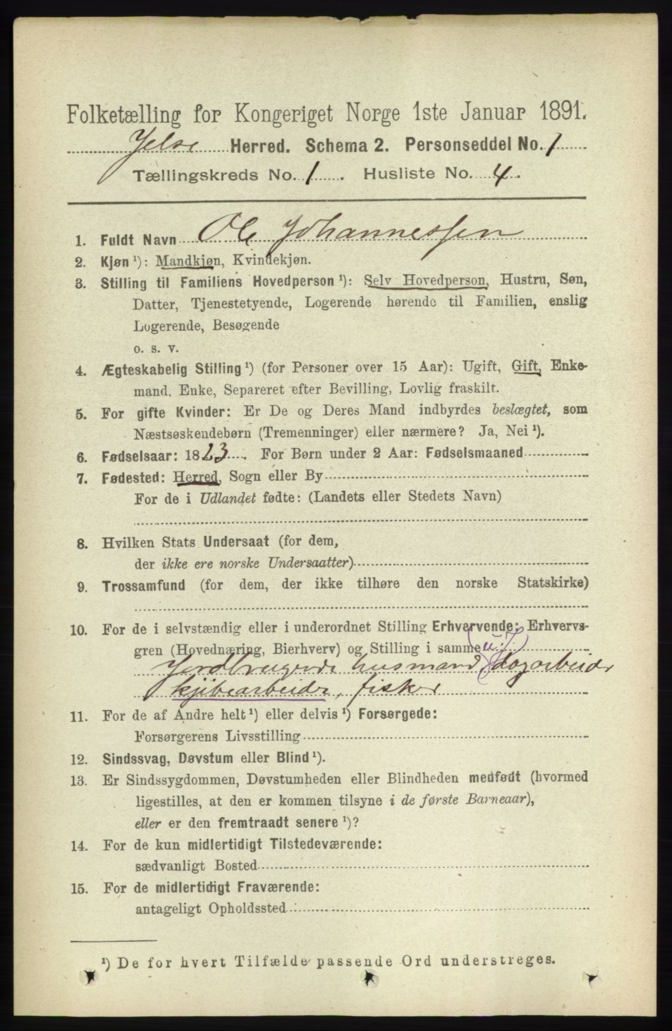 RA, 1891 census for 1138 Jelsa, 1891, p. 82