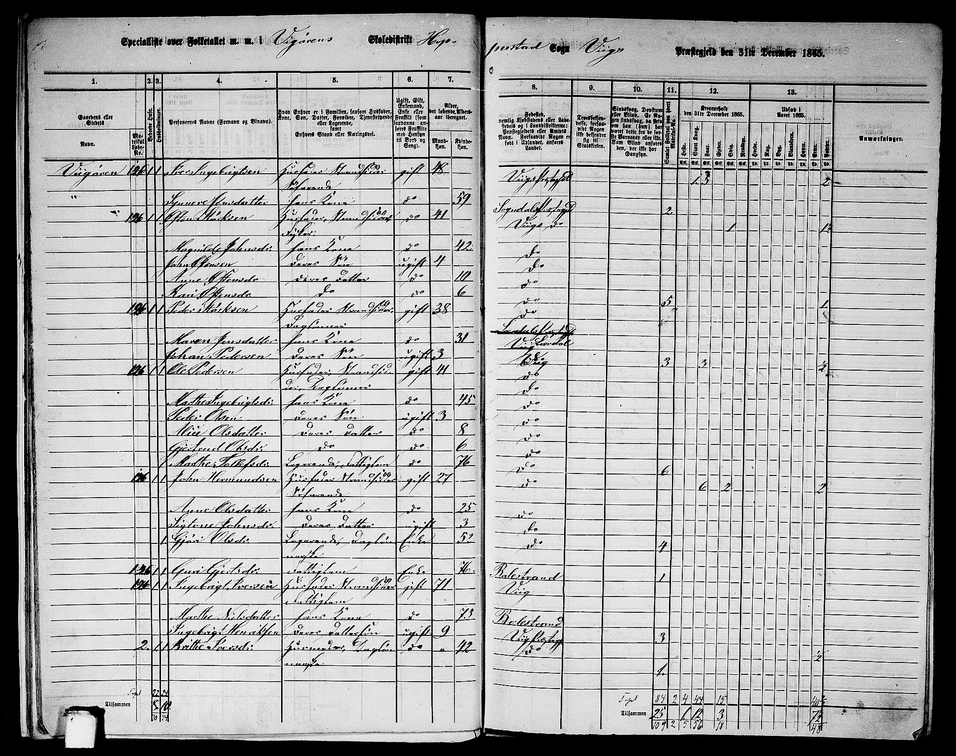 RA, 1865 census for Vik, 1865, p. 14