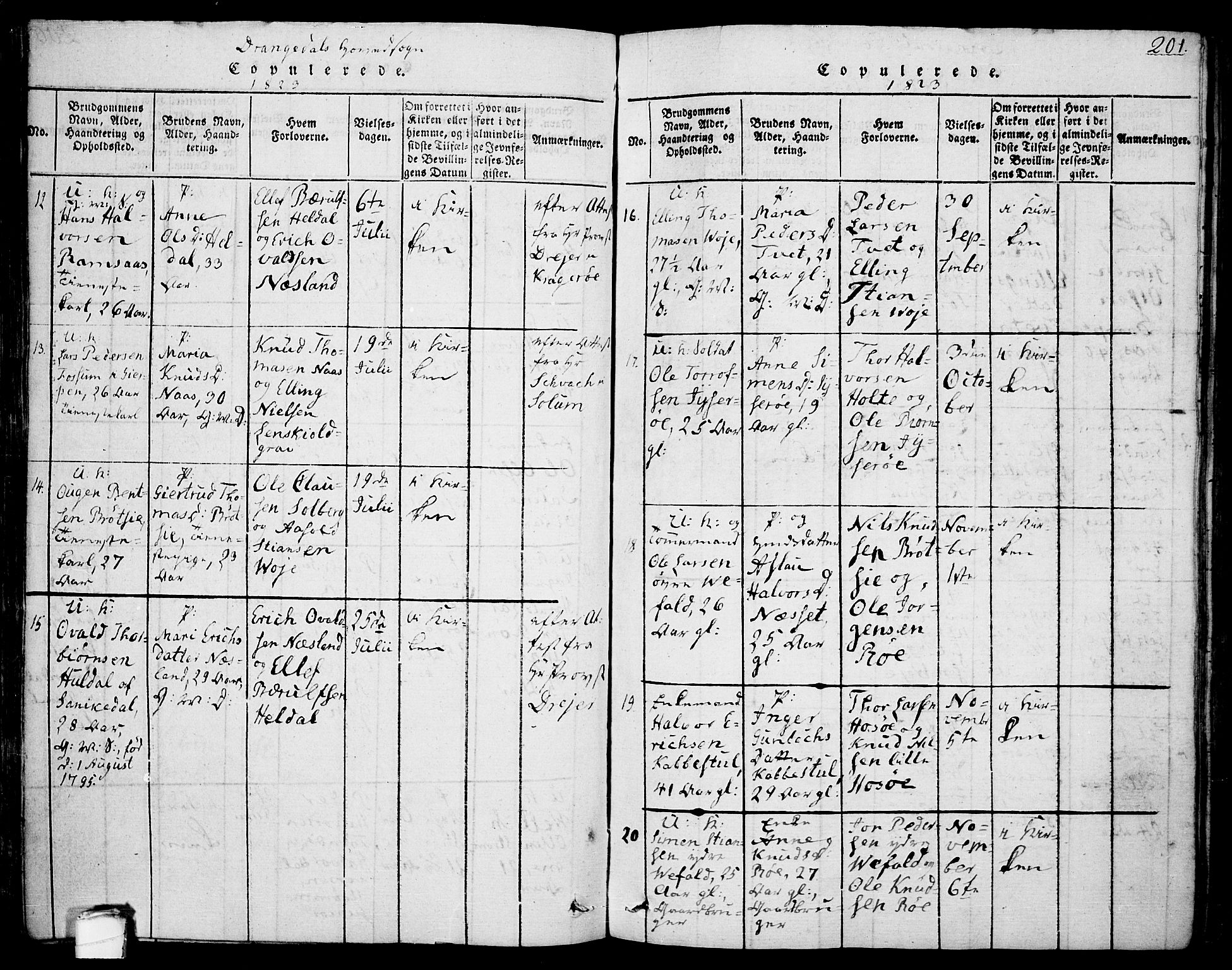 Drangedal kirkebøker, SAKO/A-258/F/Fa/L0005: Parish register (official) no. 5 /1, 1814-1831, p. 201