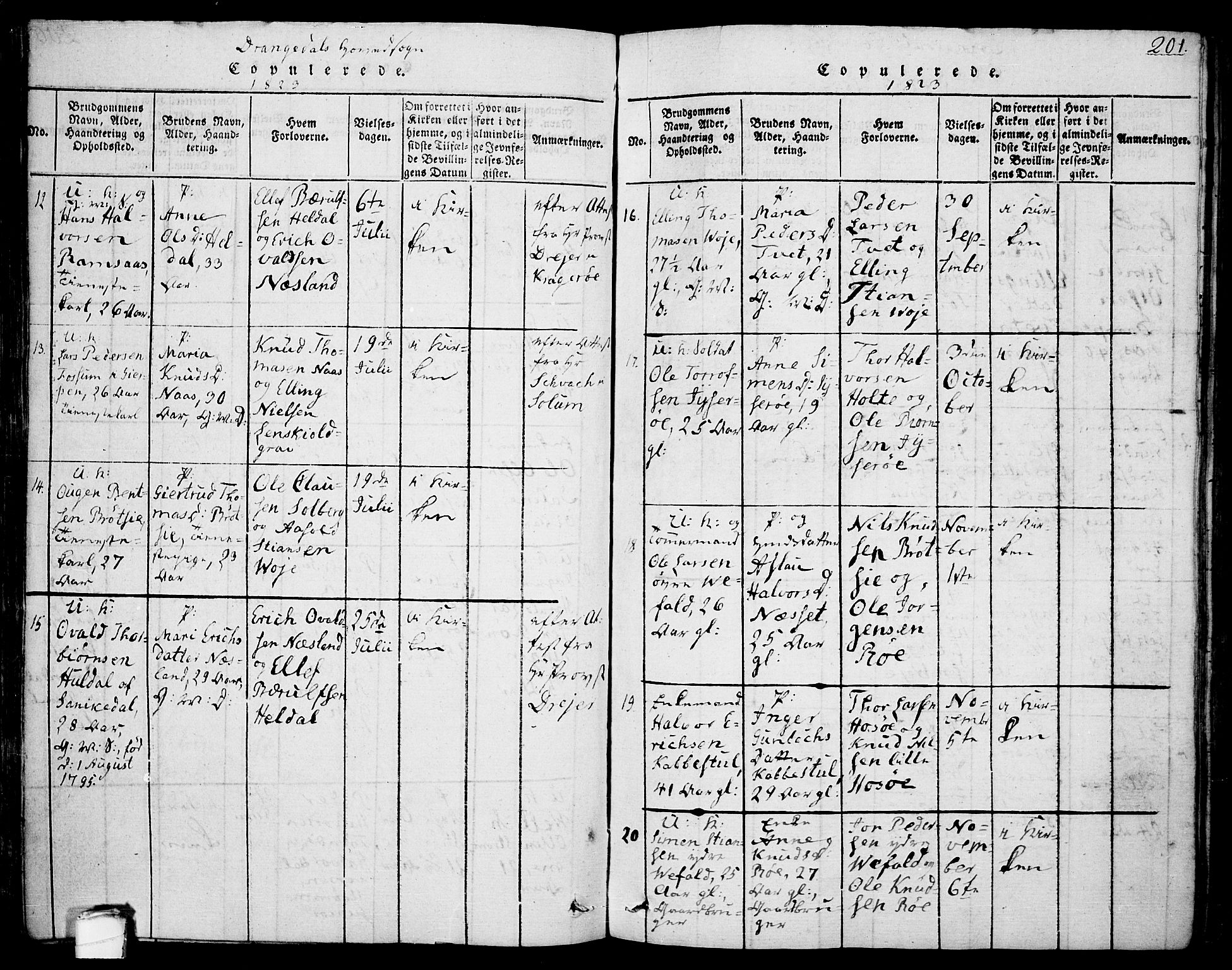 Drangedal kirkebøker, AV/SAKO-A-258/F/Fa/L0005: Parish register (official) no. 5 /1, 1814-1831, p. 201