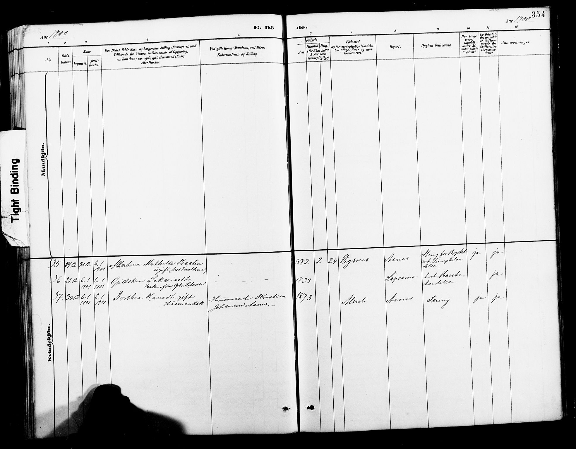 Ministerialprotokoller, klokkerbøker og fødselsregistre - Nordland, AV/SAT-A-1459/827/L0421: Parish register (copy) no. 827C10, 1887-1906, p. 354