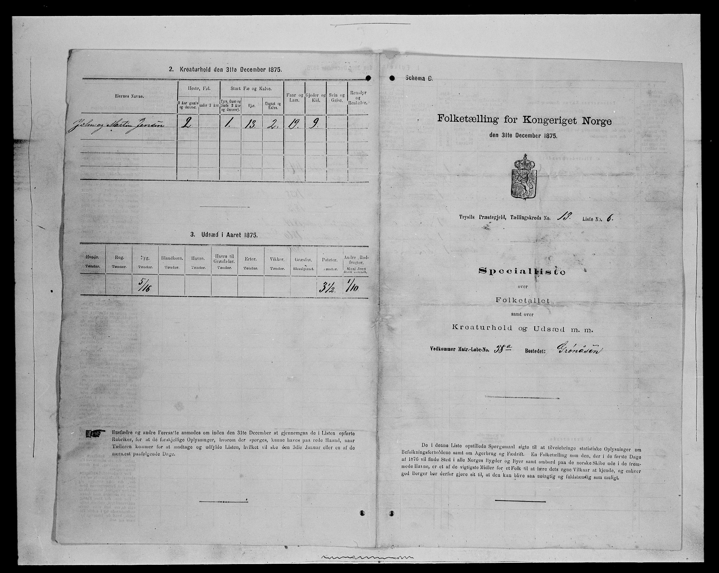 SAH, 1875 census for 0428P Trysil, 1875, p. 1368