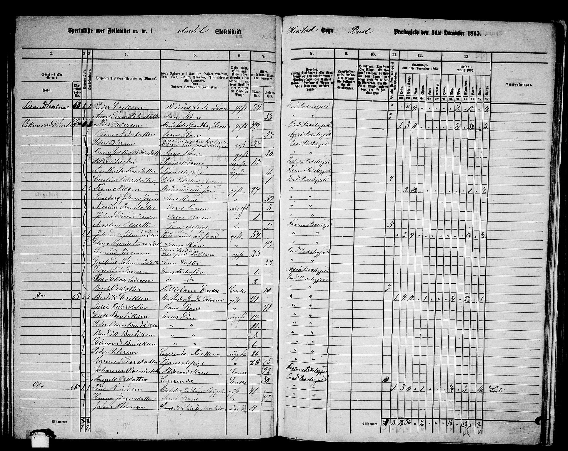 RA, 1865 census for Bud, 1865, p. 51