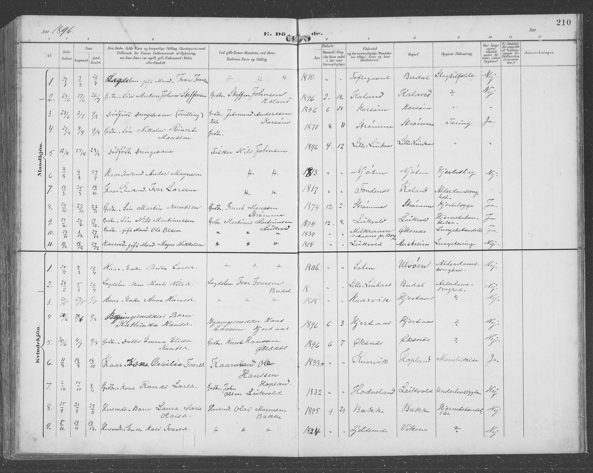 Lindås Sokneprestembete, SAB/A-76701/H/Hab: Parish register (copy) no. C 4, 1894-1910, p. 210