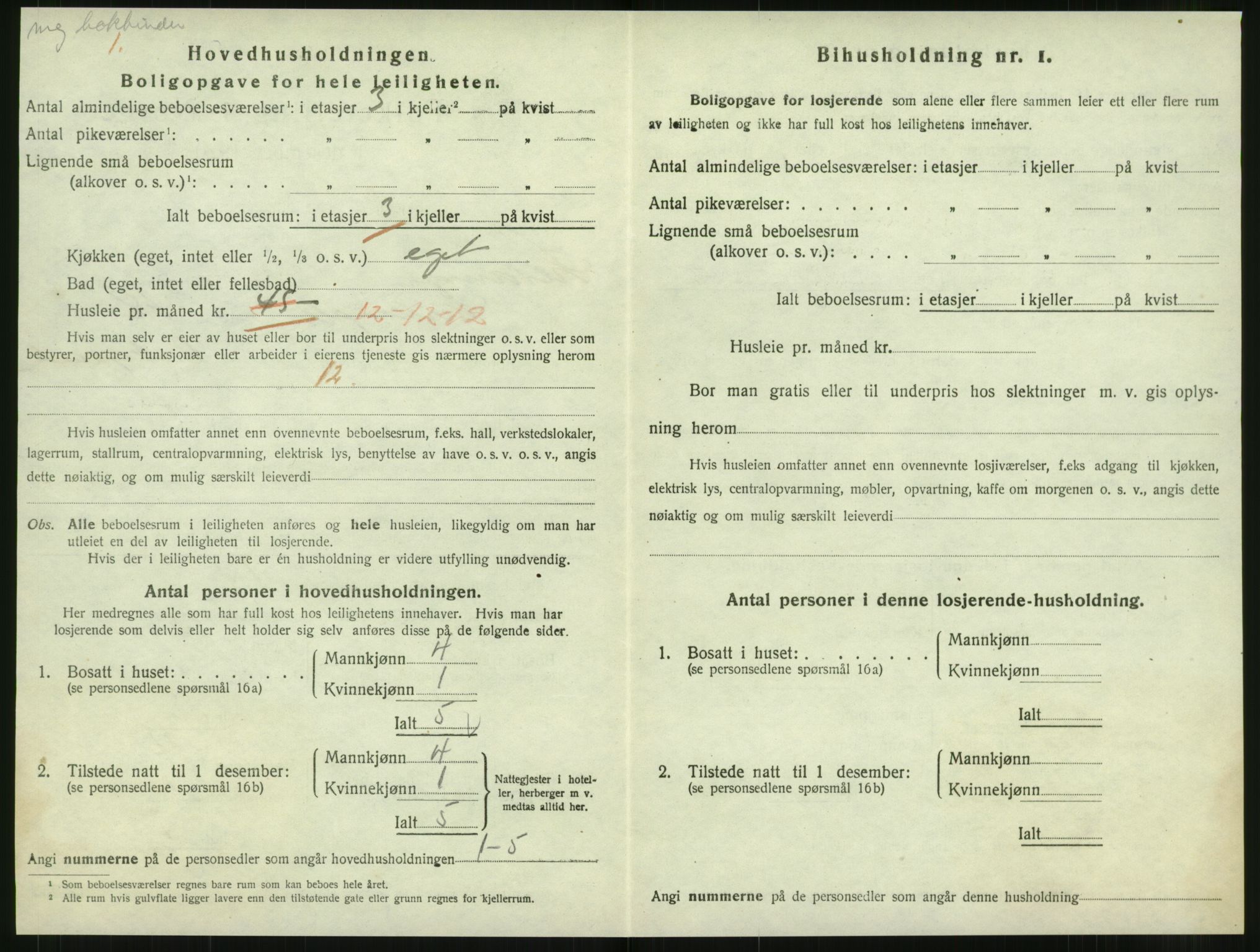 SAT, 1920 census for Levanger town, 1920, p. 1003