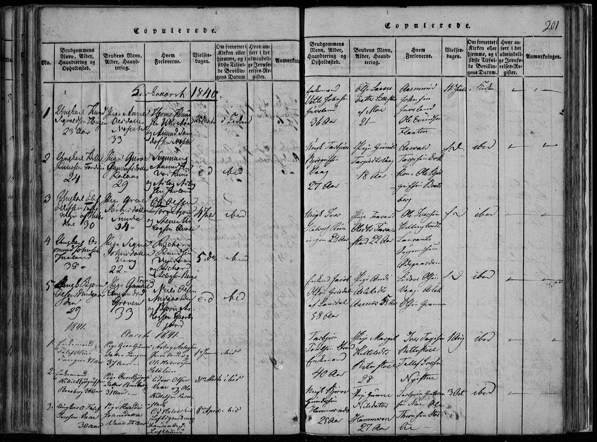 Rauland kirkebøker, SAKO/A-292/F/Fa/L0001: Parish register (official) no. 1, 1814-1859, p. 201