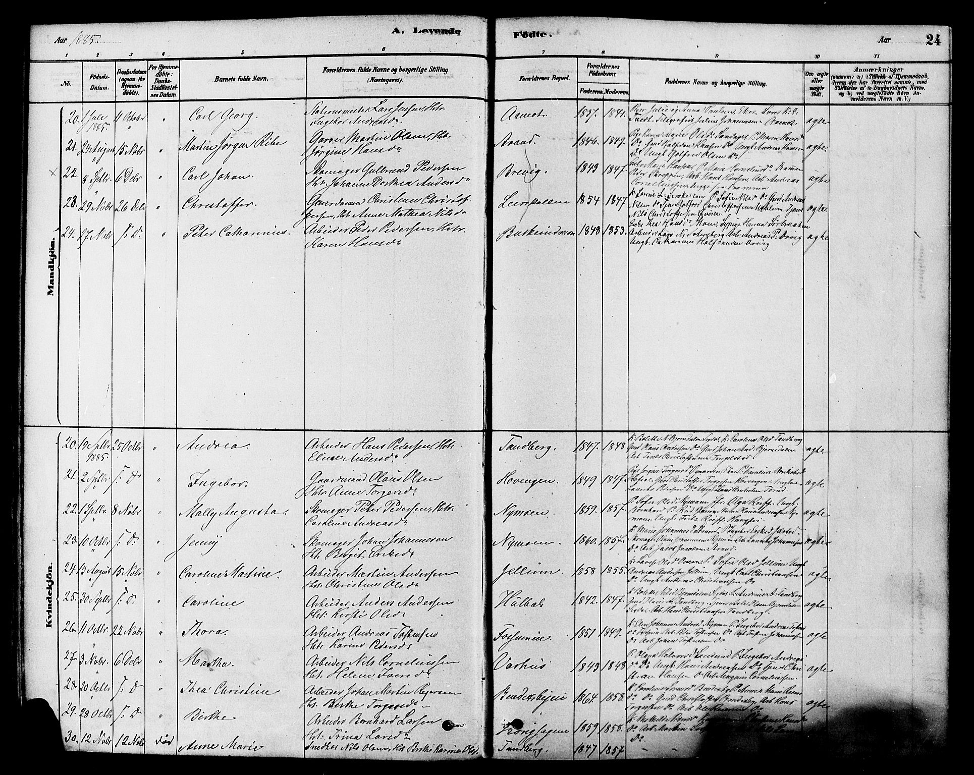 Modum kirkebøker, AV/SAKO-A-234/F/Fa/L0015: Parish register (official) no. 15 /1, 1877-1889, p. 24