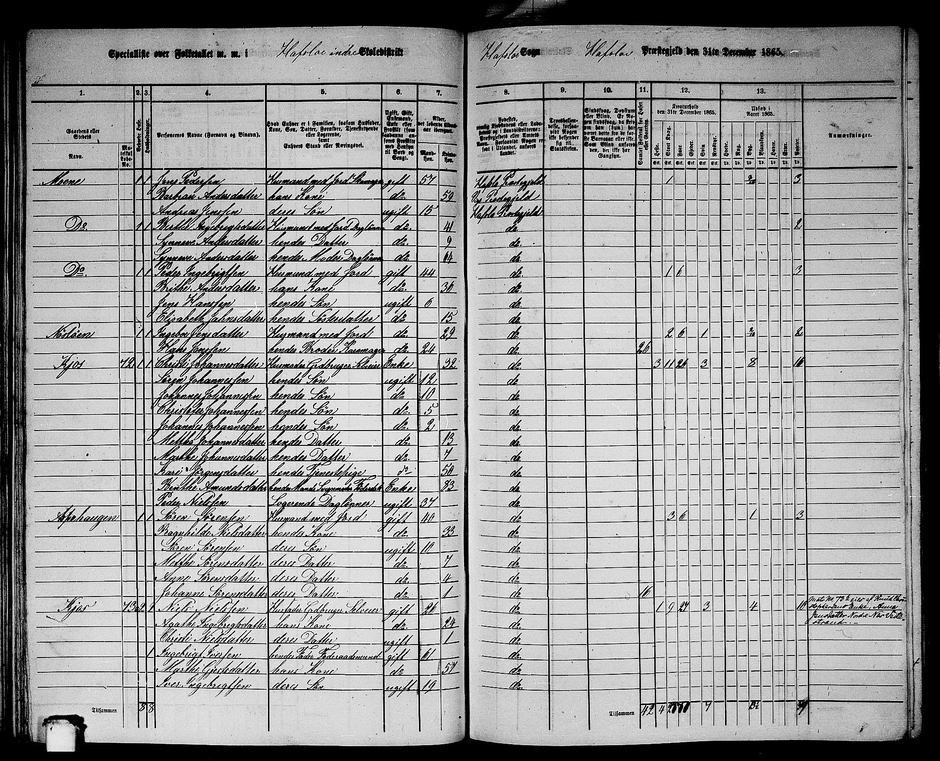 RA, 1865 census for Hafslo, 1865, p. 60