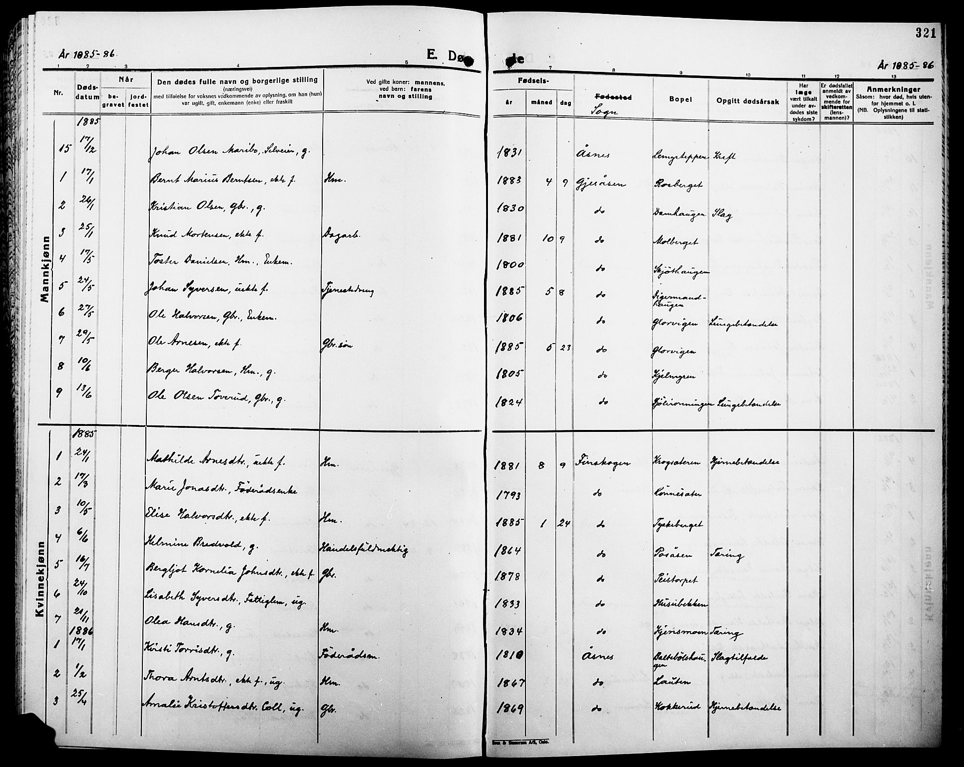 Åsnes prestekontor, SAH/PREST-042/H/Ha/Haa/L0000B: Parish register (official), 1870-1889, p. 321