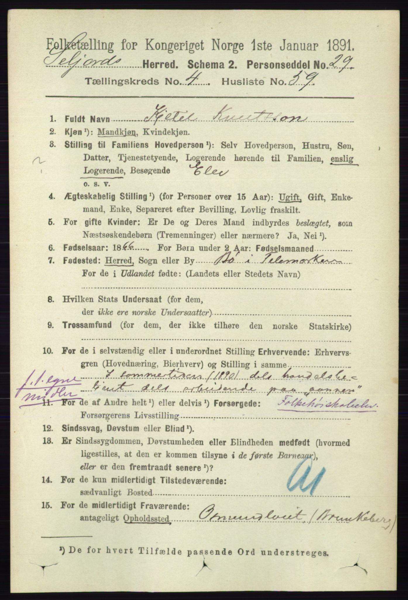 RA, 1891 census for 0828 Seljord, 1891, p. 1650