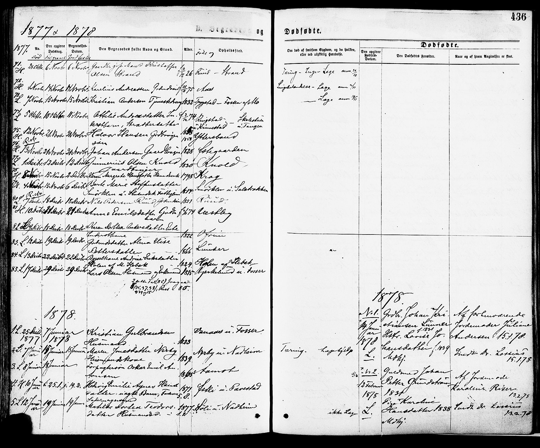 Høland prestekontor Kirkebøker, SAO/A-10346a/F/Fa/L0012.a: Parish register (official) no. I 12A, 1869-1879, p. 436