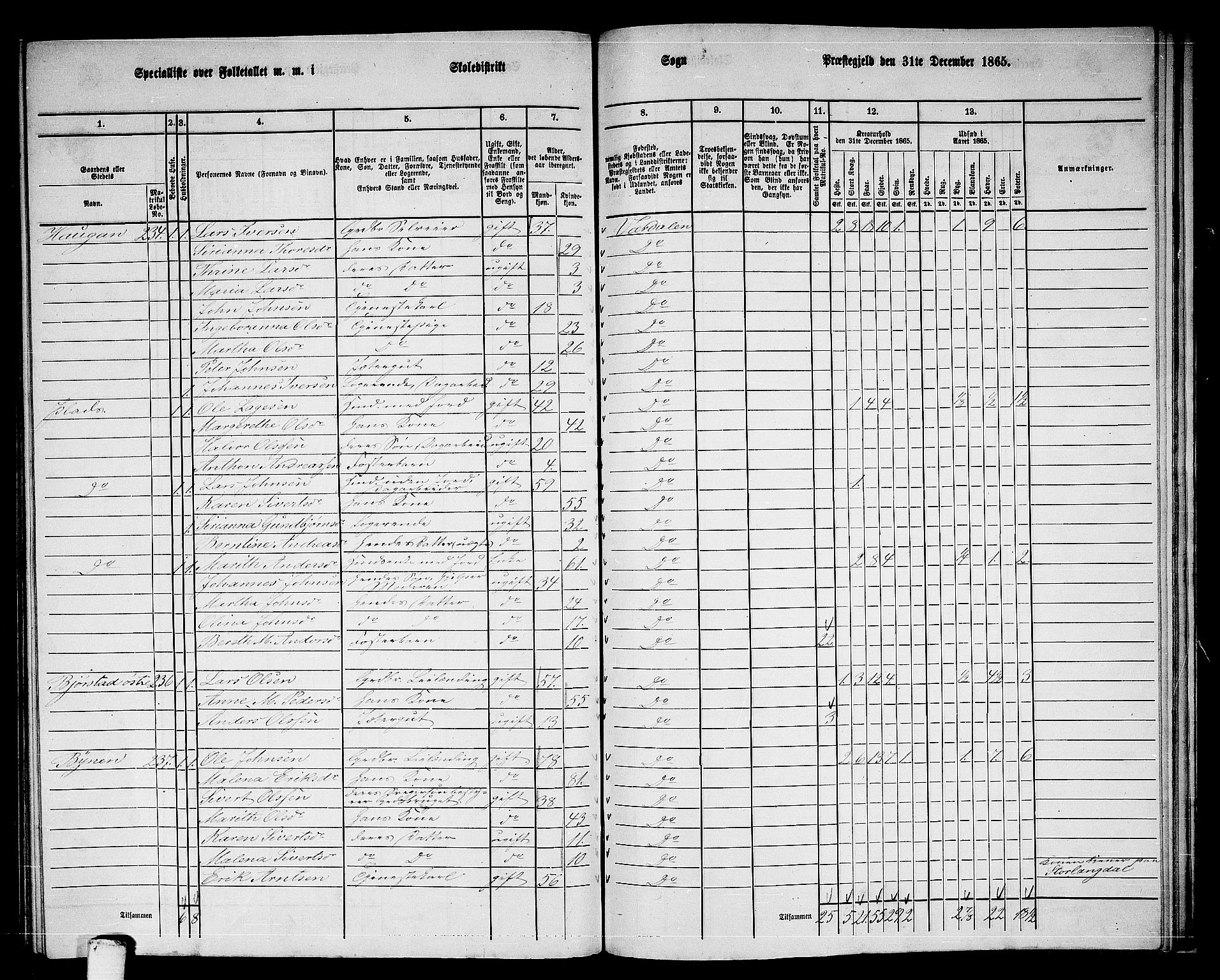 RA, 1865 census for Verdal, 1865, p. 243