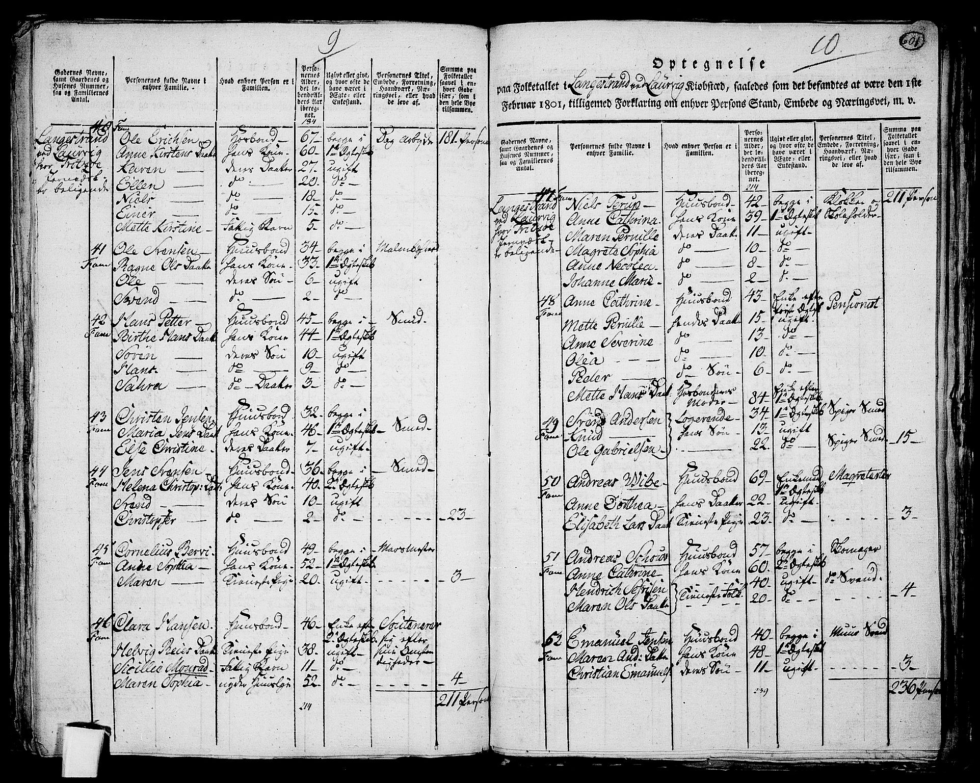 RA, 1801 census for 0707P Larvik, 1801, p. 600b-601a