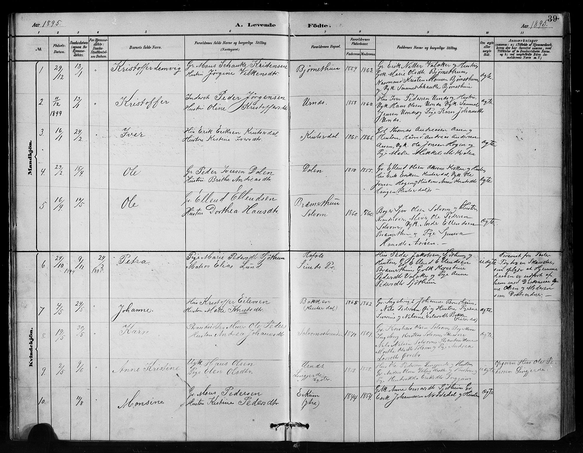 Hafslo sokneprestembete, AV/SAB-A-80301/H/Hab/Habc/L0001: Parish register (copy) no. C 1, 1882-1908, p. 39