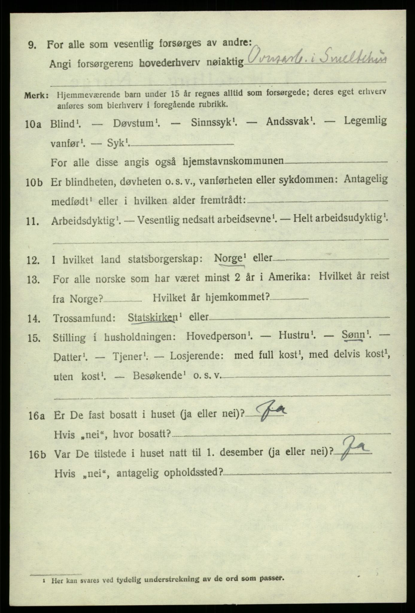 SAB, 1920 census for Odda, 1920, p. 12652