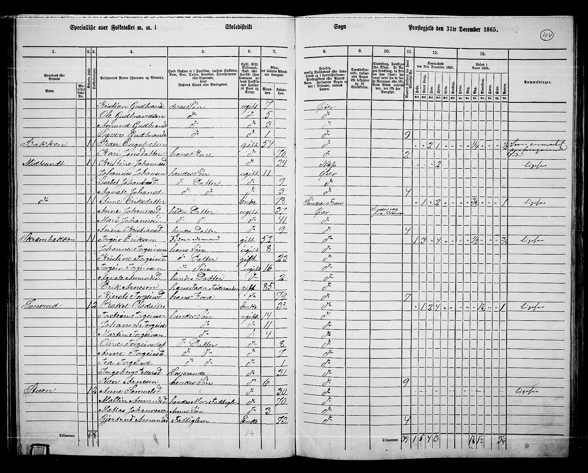 RA, 1865 census for Øyer, 1865, p. 95