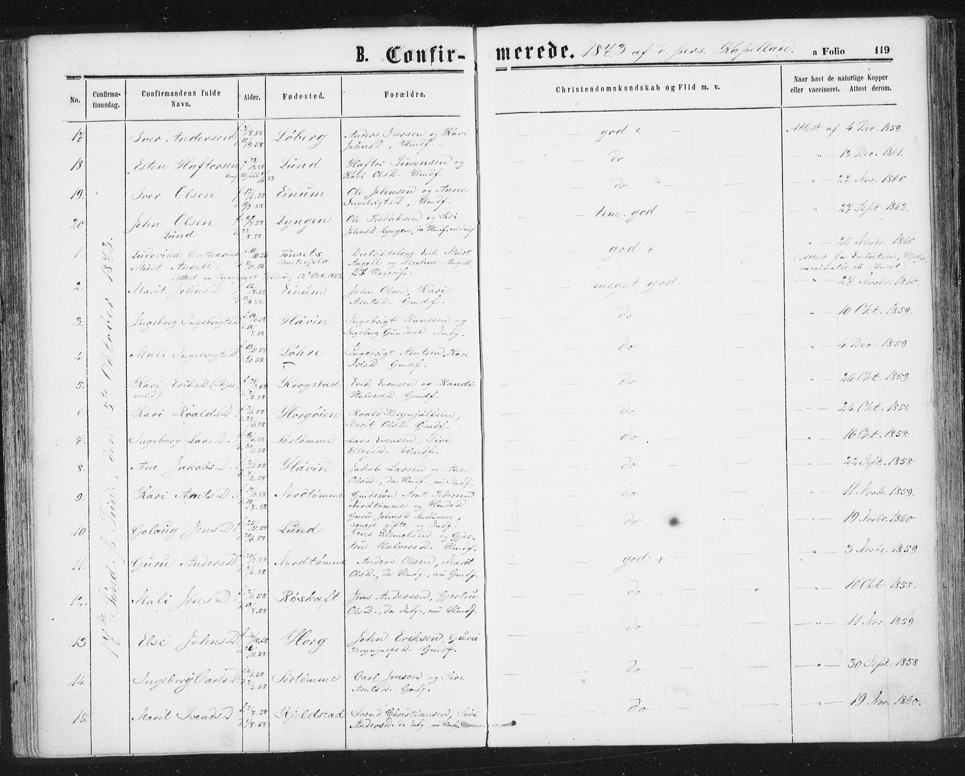 Ministerialprotokoller, klokkerbøker og fødselsregistre - Sør-Trøndelag, AV/SAT-A-1456/692/L1104: Parish register (official) no. 692A04, 1862-1878, p. 119