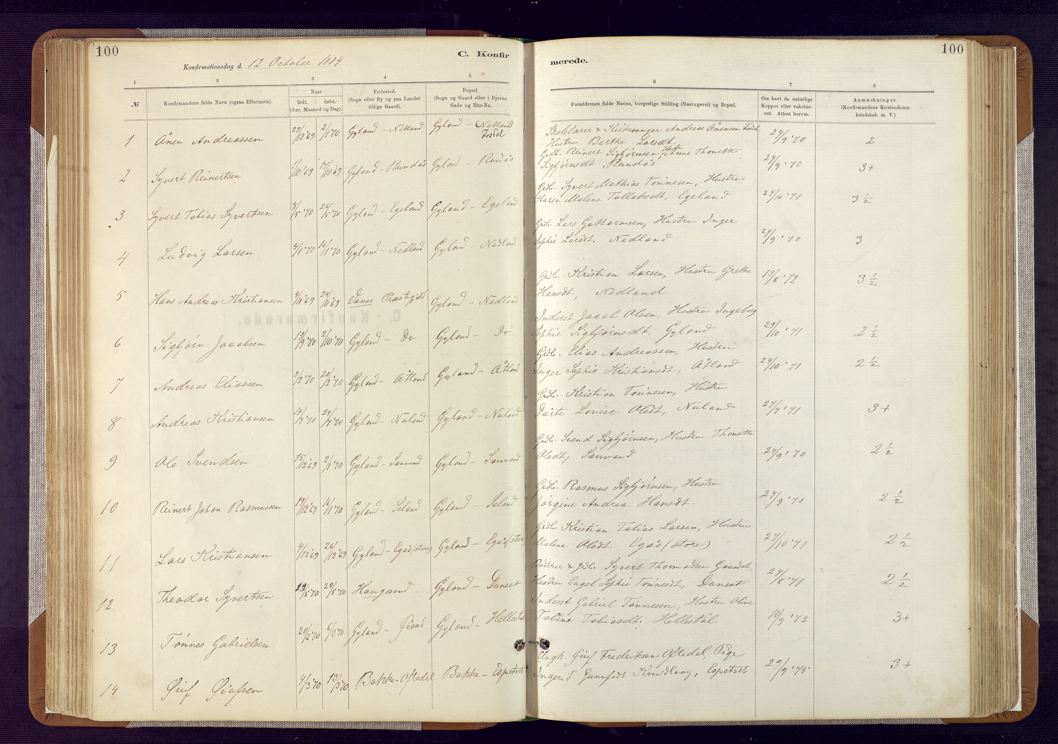 Bakke sokneprestkontor, SAK/1111-0002/F/Fa/Fab/L0003: Parish register (official) no. A 3, 1884-1921, p. 100