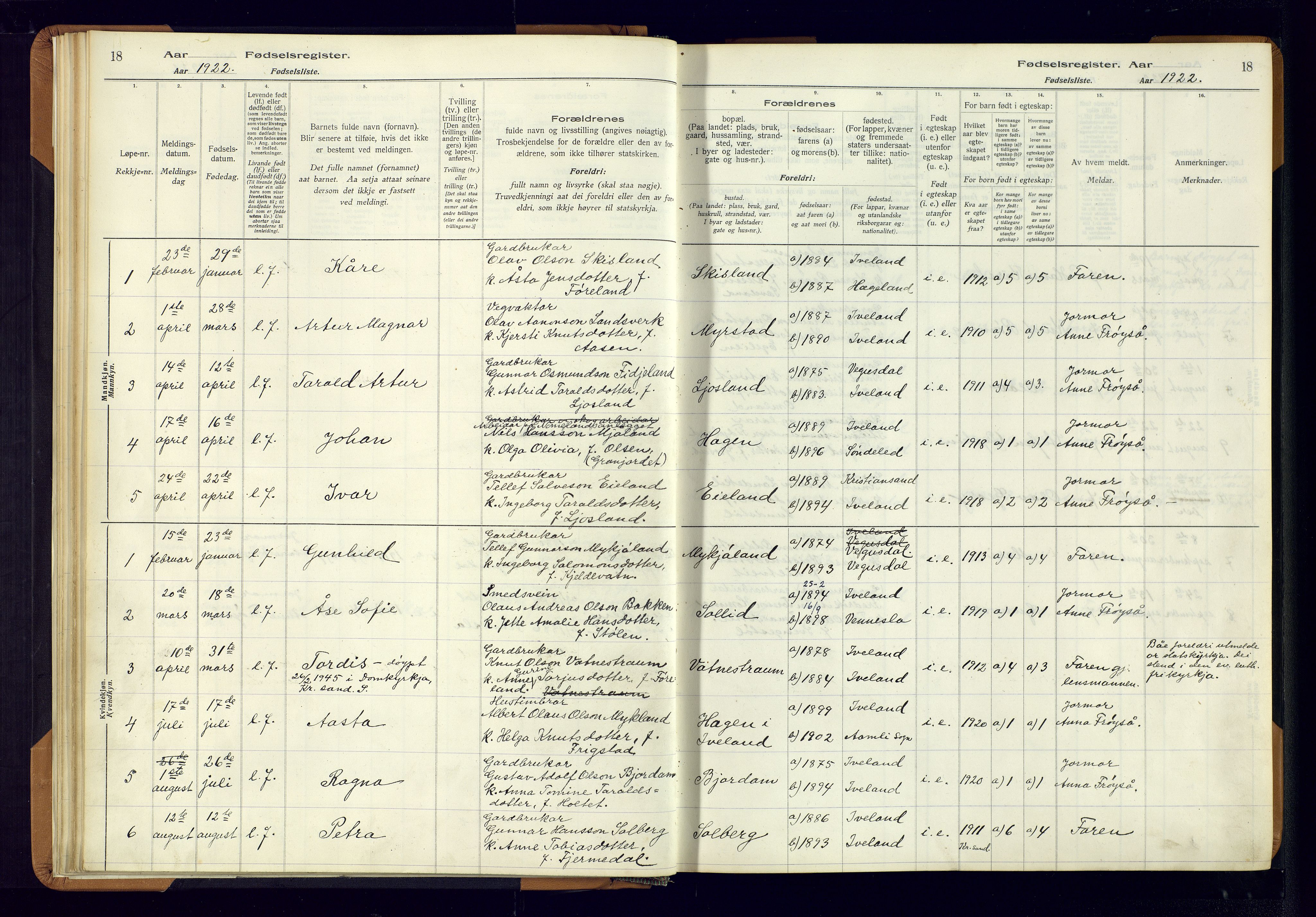 Evje sokneprestkontor, AV/SAK-1111-0008/J/Jc/L0003: Birth register no. II.4.3, 1916-1982, p. 18