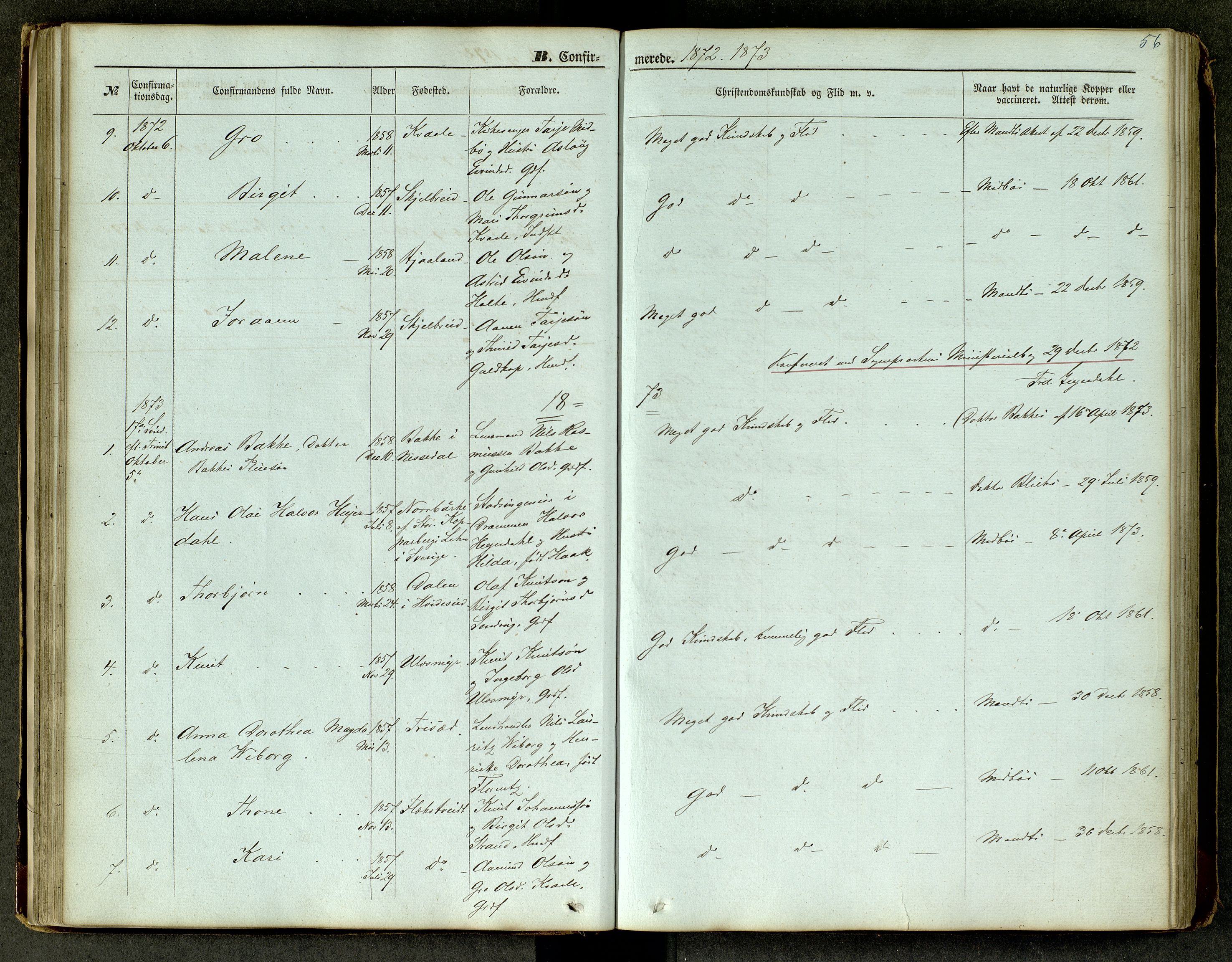 Lårdal kirkebøker, SAKO/A-284/G/Ga/L0002: Parish register (copy) no. I 2, 1861-1890, p. 56