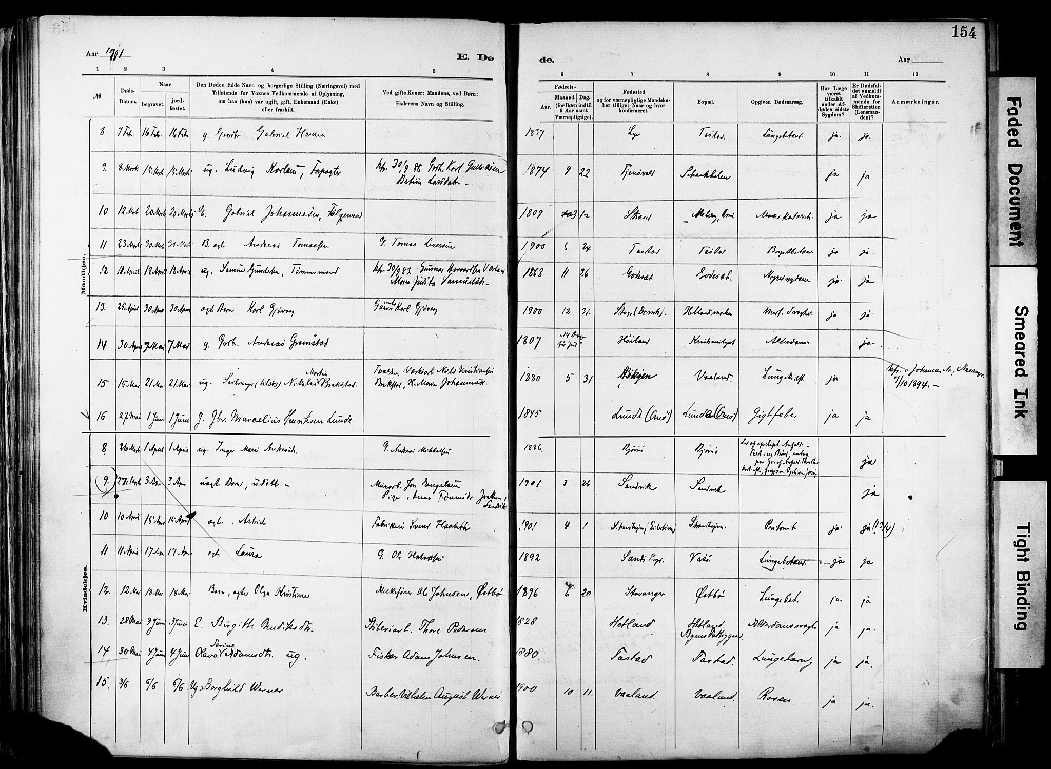 Hetland sokneprestkontor, AV/SAST-A-101826/30/30BA/L0012: Parish register (official) no. A 12, 1882-1912, p. 154