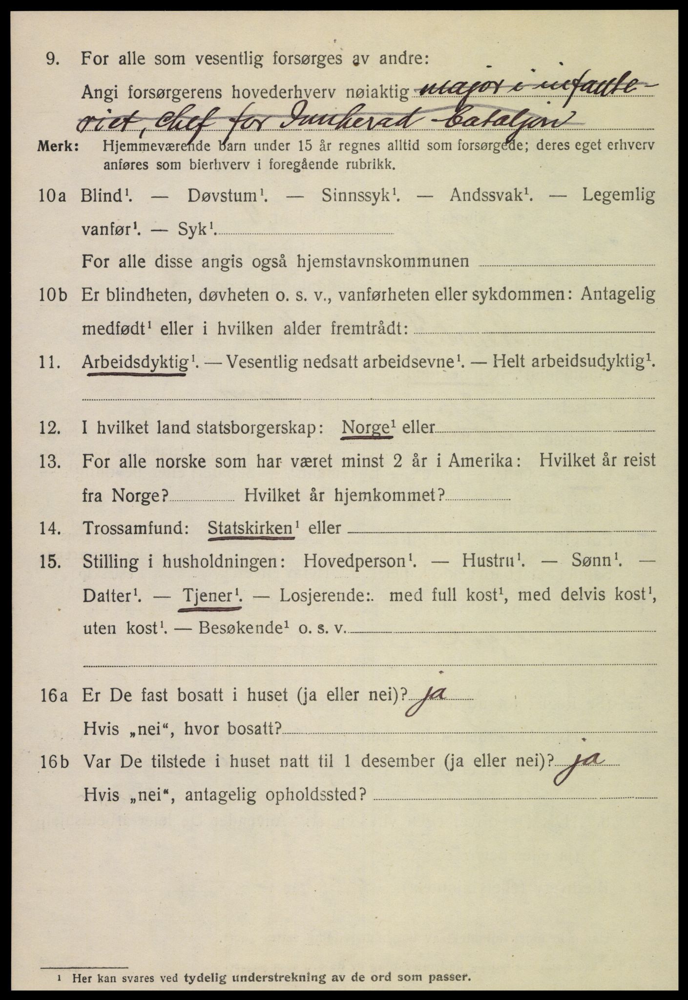 SAT, 1920 census for Steinkjer, 1920, p. 4217