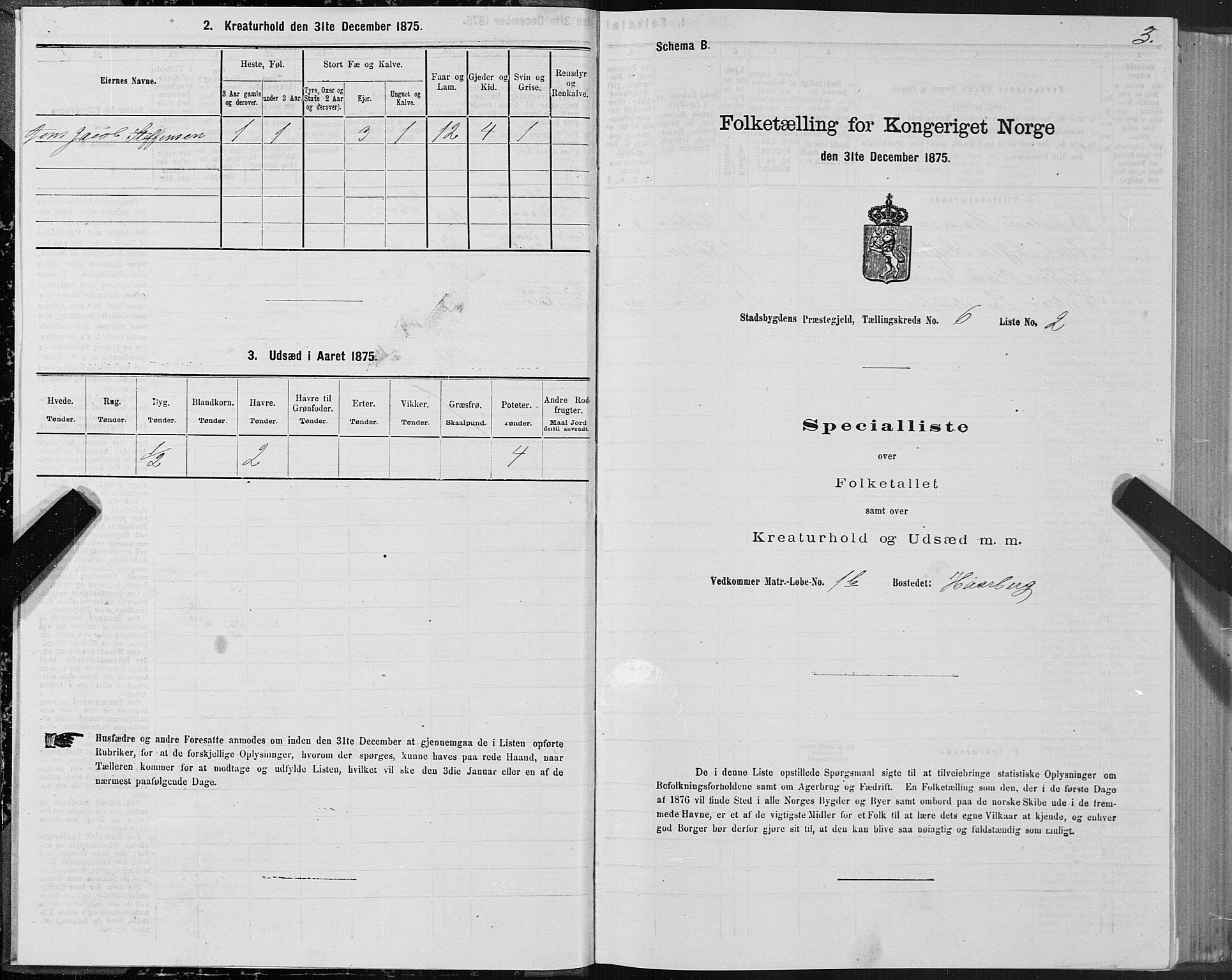 SAT, 1875 census for 1625P Stadsbygd, 1875, p. 4003