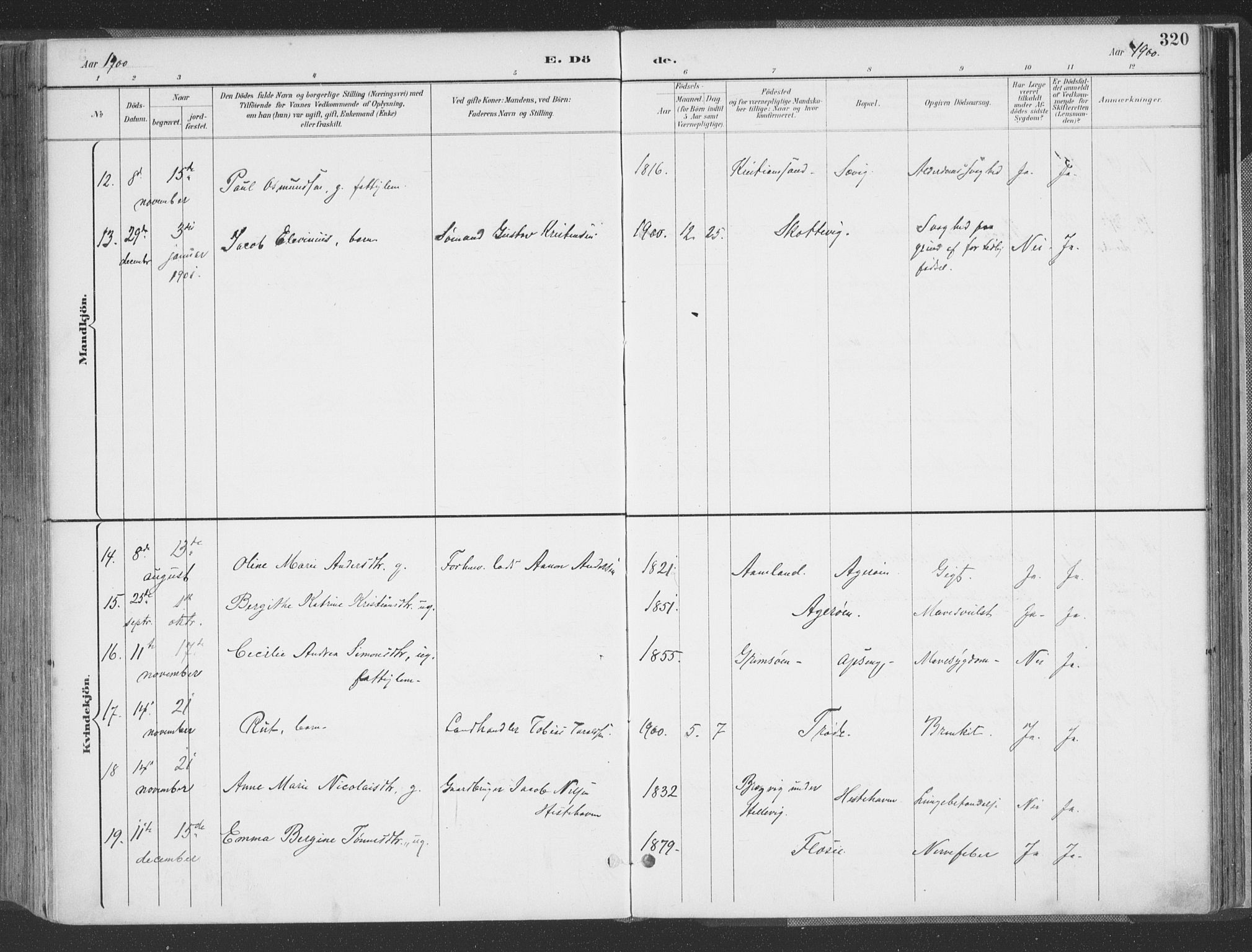 Høvåg sokneprestkontor, AV/SAK-1111-0025/F/Fa/L0006: Parish register (official) no. A 6, 1894-1923, p. 320