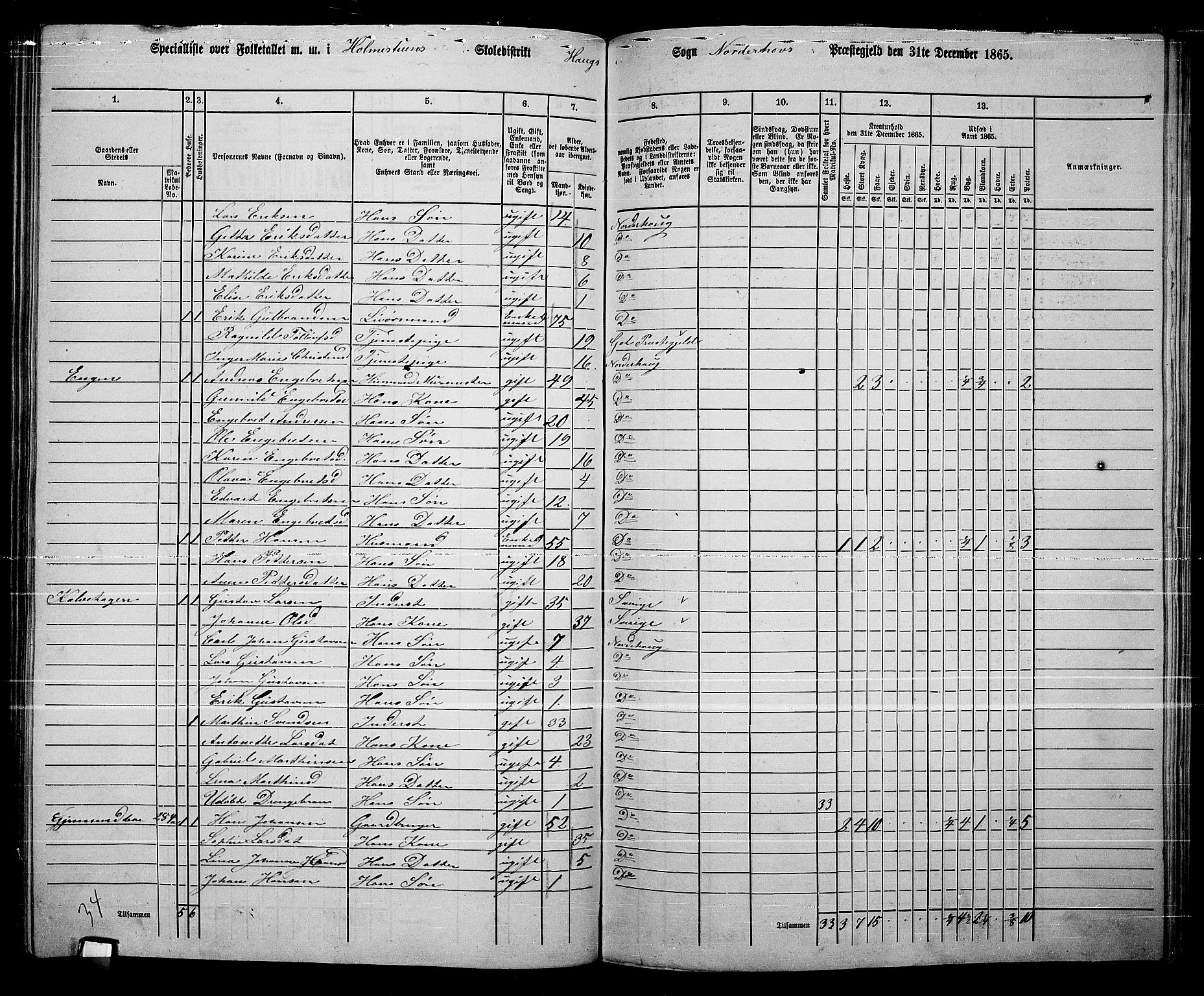 RA, 1865 census for Norderhov/Norderhov, Haug og Lunder, 1865, p. 226