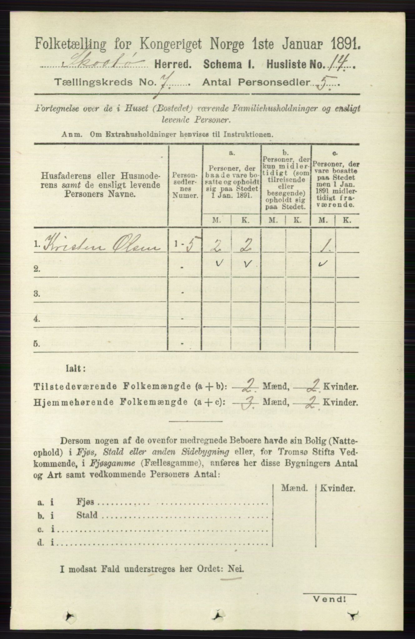 RA, 1891 census for 0815 Skåtøy, 1891, p. 3011