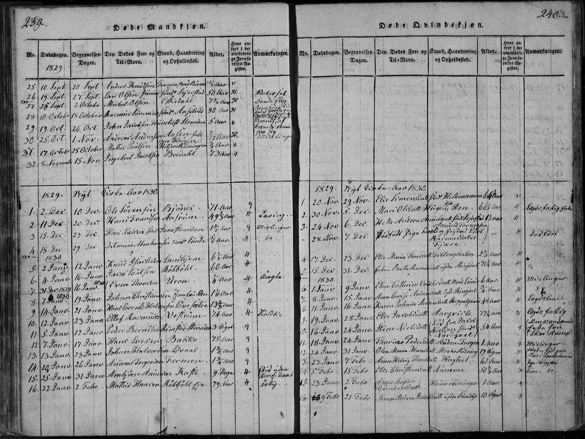Hedrum kirkebøker, SAKO/A-344/F/Fa/L0004: Parish register (official) no. I 4, 1817-1835, p. 239-240