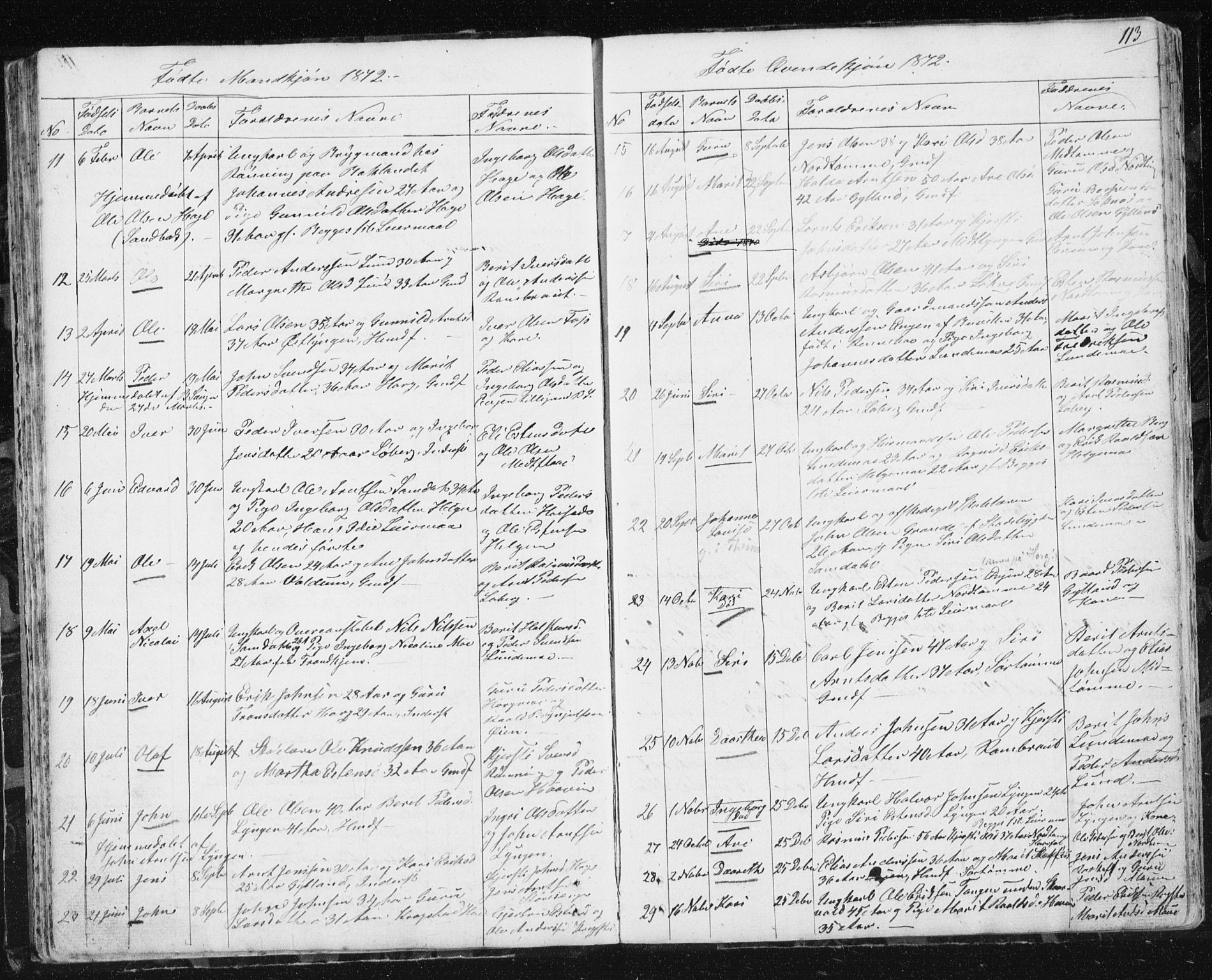 Ministerialprotokoller, klokkerbøker og fødselsregistre - Sør-Trøndelag, SAT/A-1456/692/L1110: Parish register (copy) no. 692C05, 1849-1889, p. 113
