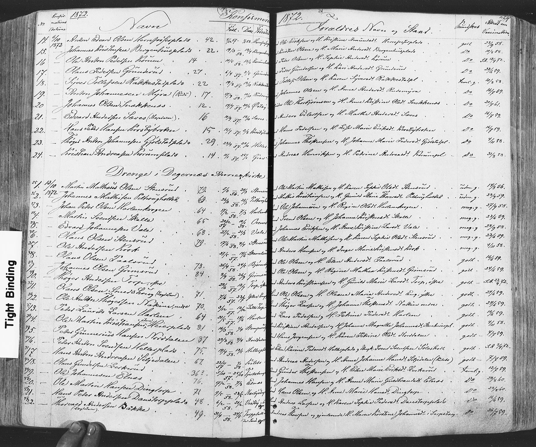 Rakkestad prestekontor Kirkebøker, AV/SAO-A-2008/F/Fa/L0011: Parish register (official) no. I 11, 1862-1877, p. 254