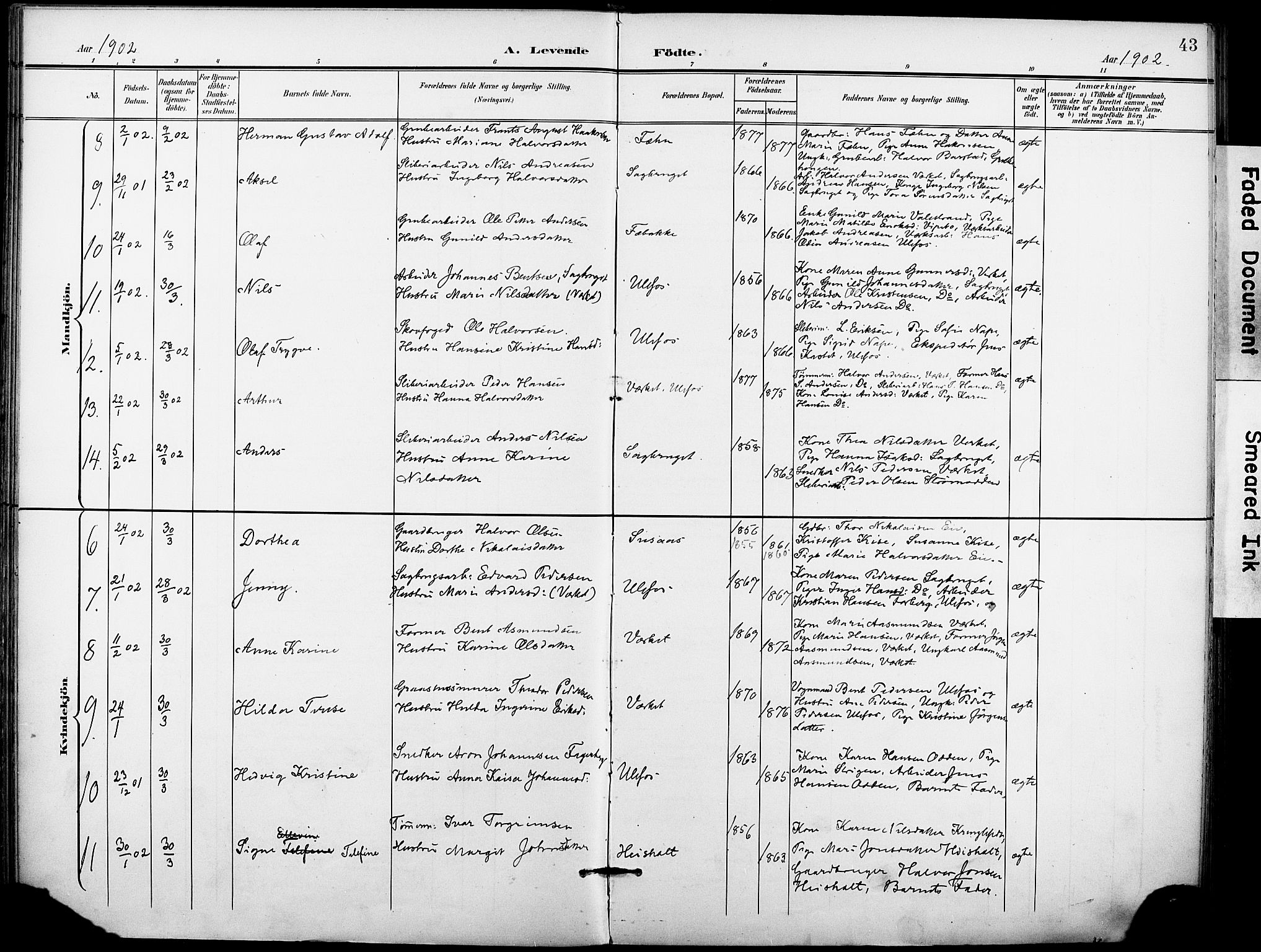 Holla kirkebøker, AV/SAKO-A-272/F/Fa/L0010: Parish register (official) no. 10, 1897-1907, p. 43