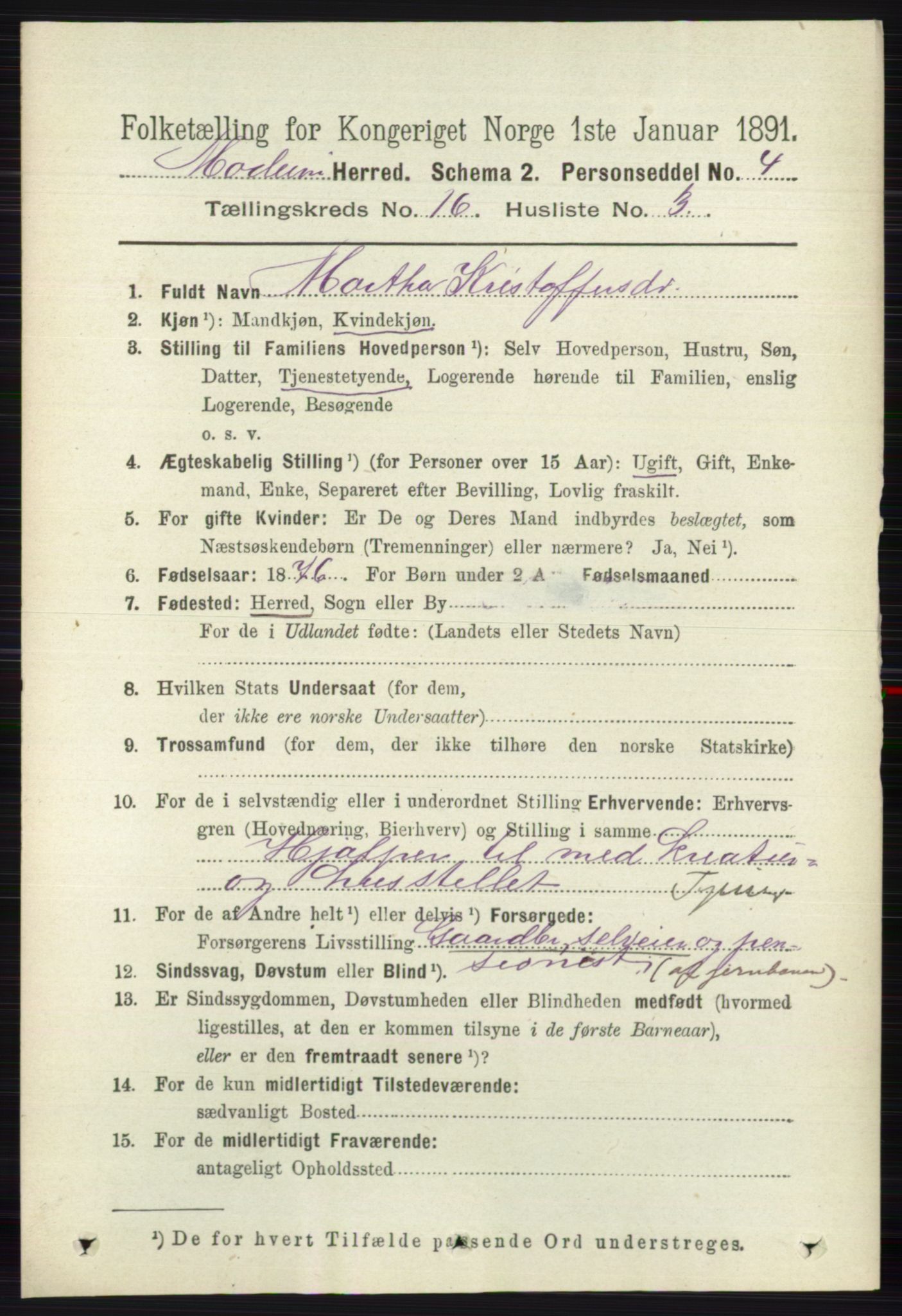 RA, 1891 census for 0623 Modum, 1891, p. 6196