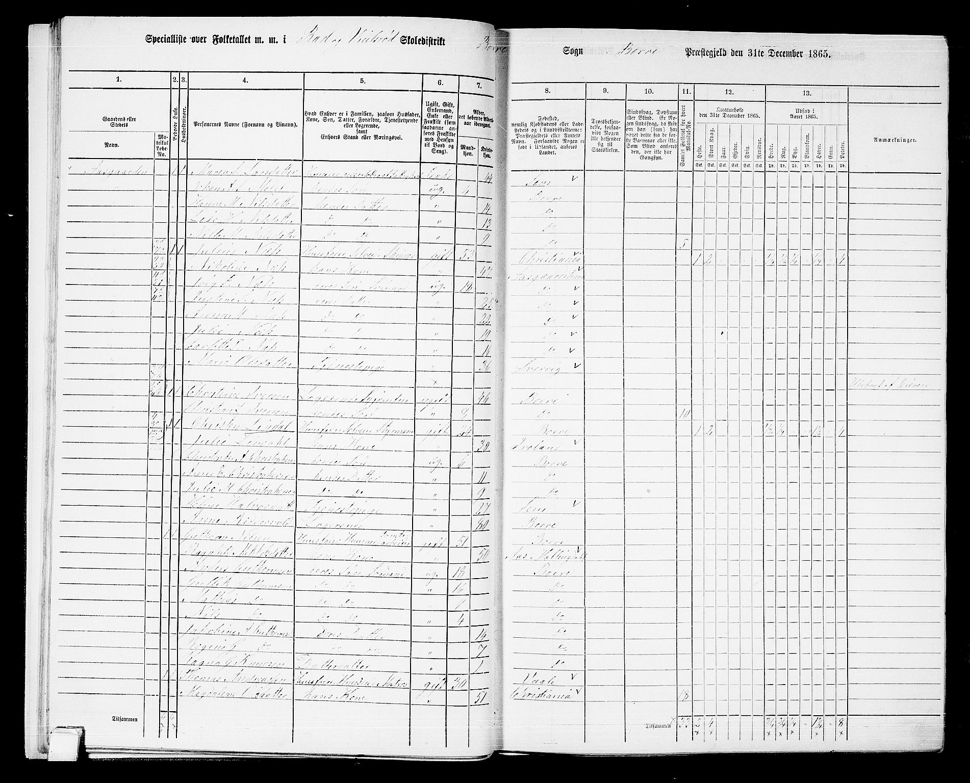 RA, 1865 census for Borre, 1865, p. 38