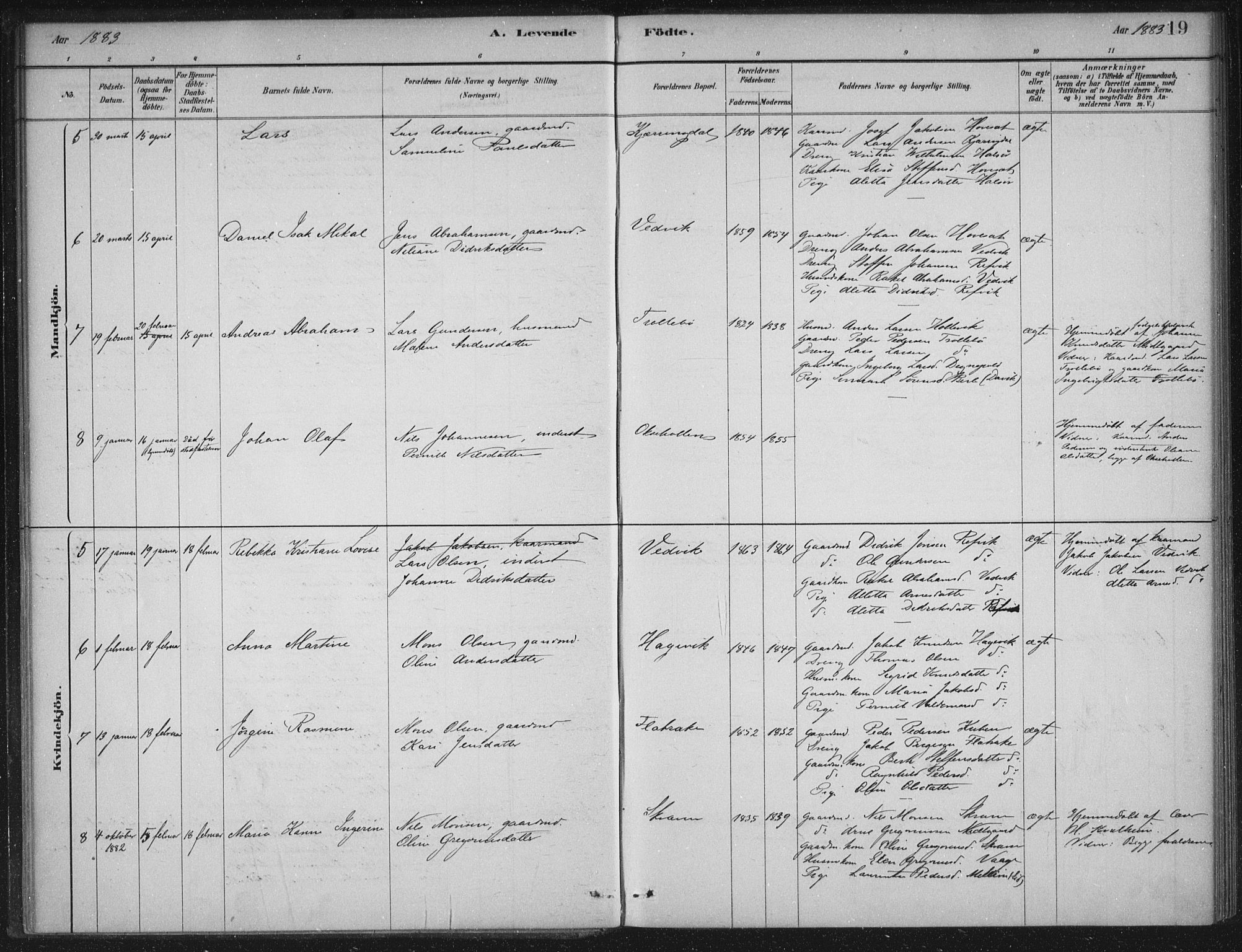 Selje sokneprestembete, AV/SAB-A-99938/H/Ha/Haa/Haac/L0001: Parish register (official) no. C  1, 1881-1888, p. 19