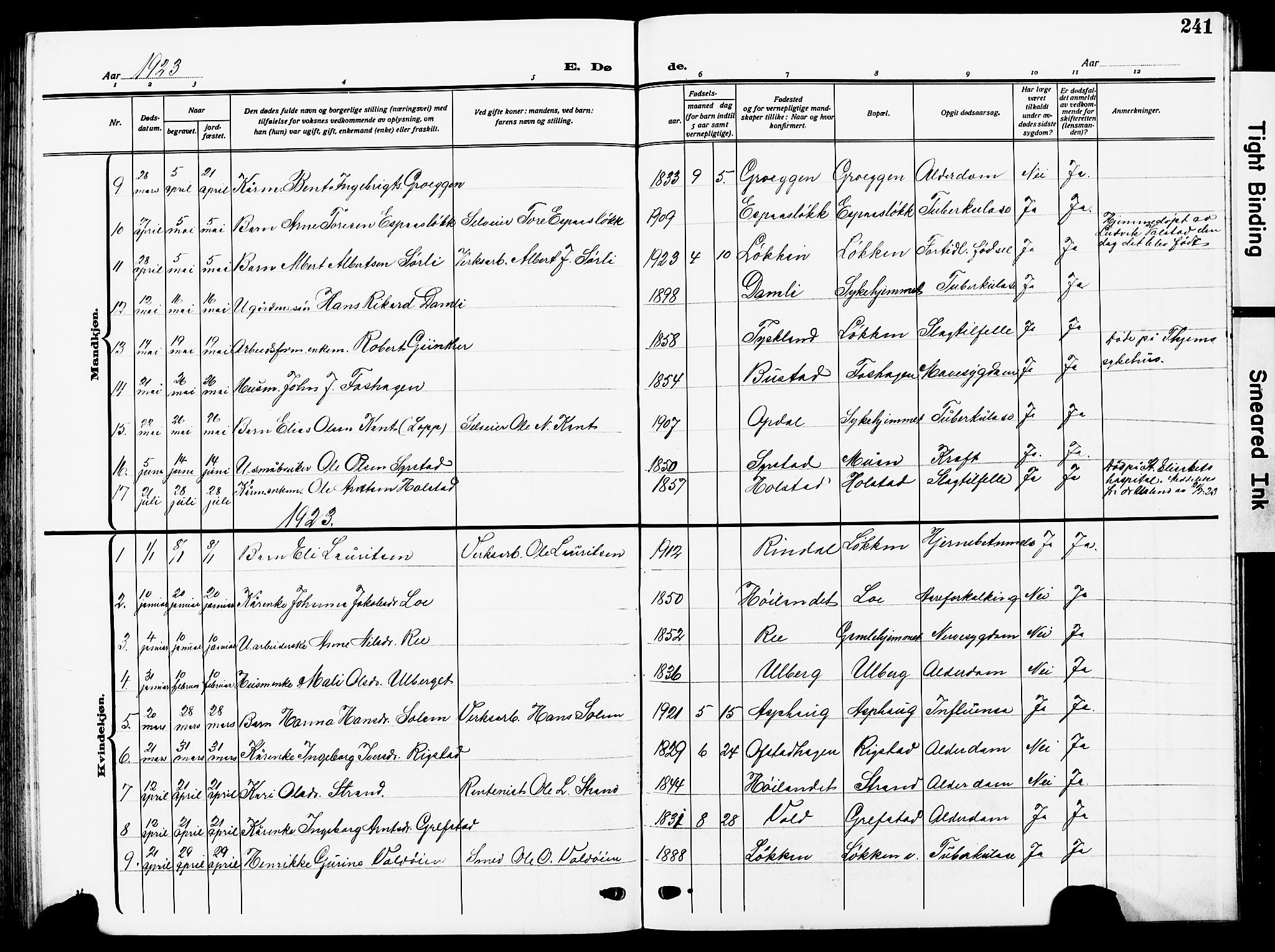 Ministerialprotokoller, klokkerbøker og fødselsregistre - Sør-Trøndelag, AV/SAT-A-1456/672/L0865: Parish register (copy) no. 672C04, 1914-1928, p. 241