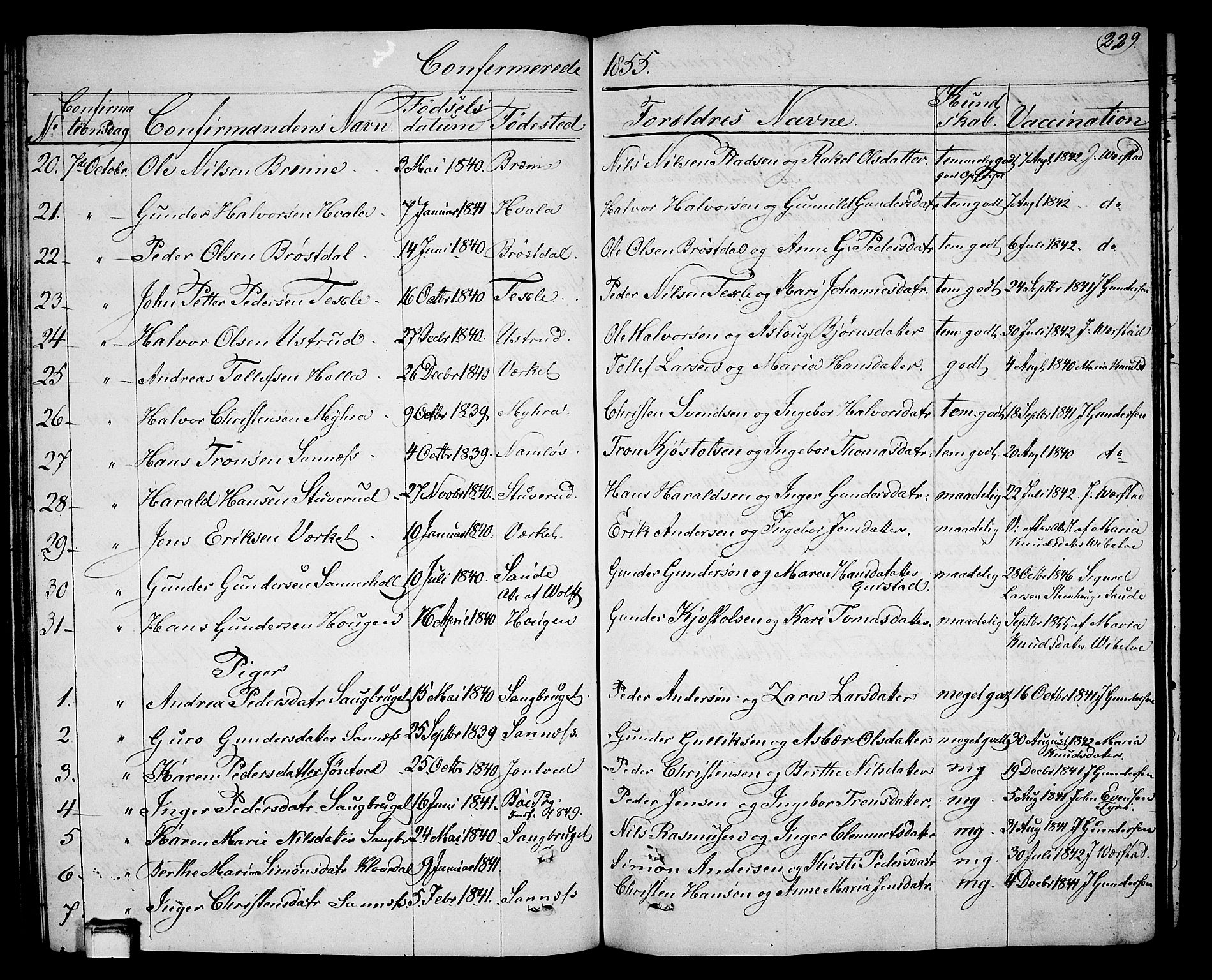 Holla kirkebøker, SAKO/A-272/G/Ga/L0003: Parish register (copy) no. I 3, 1849-1866, p. 229