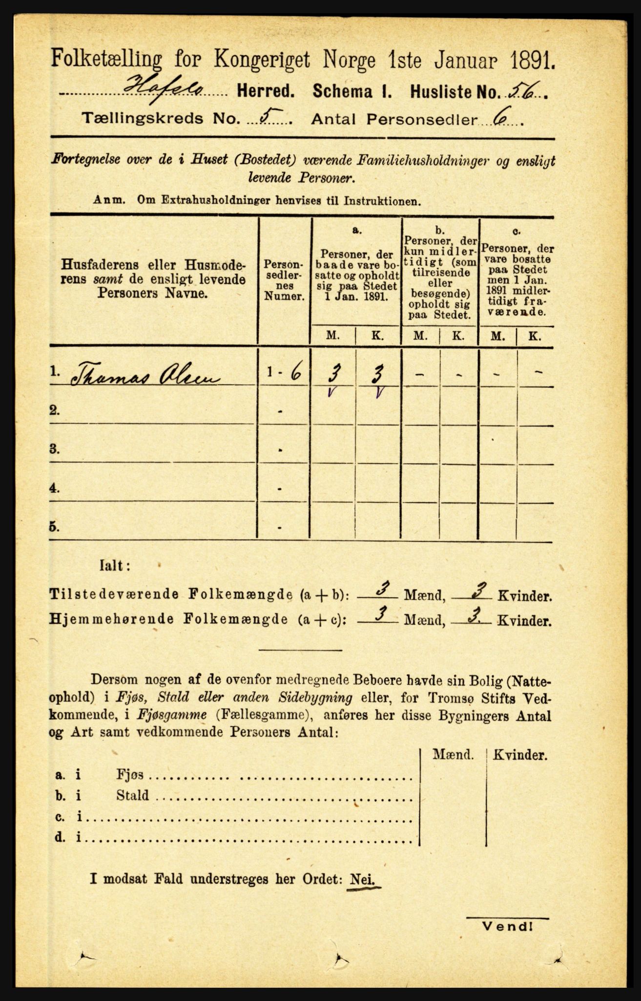 RA, 1891 census for 1425 Hafslo, 1891, p. 1947